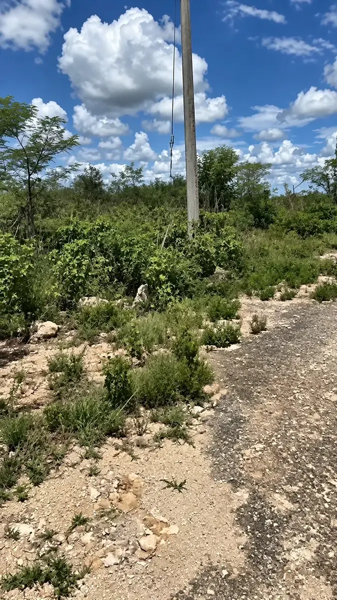 Terreno Spot2