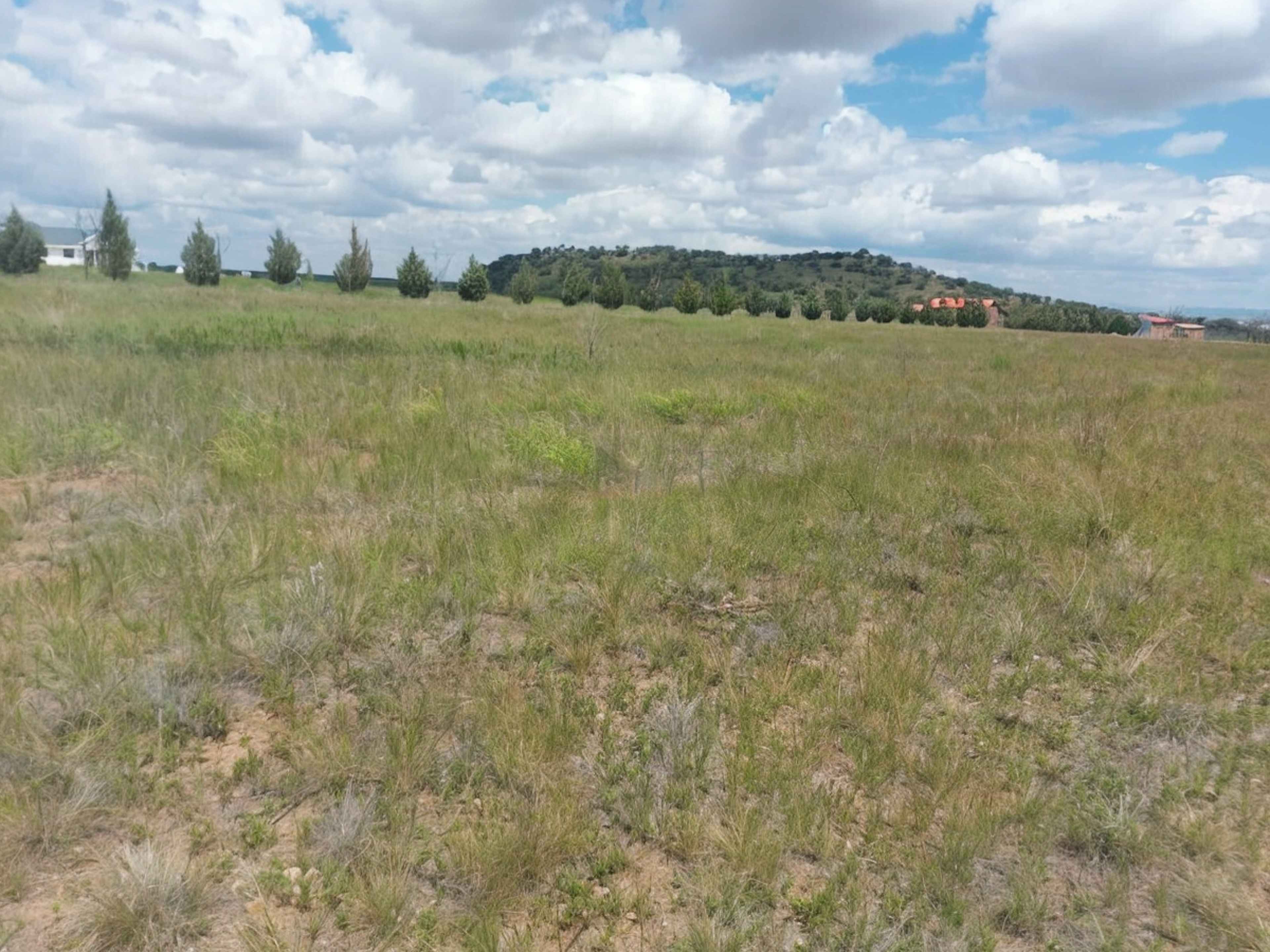 Carretera Carichi Campo 1 53