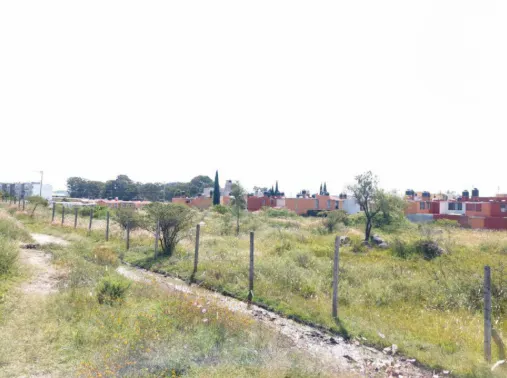 Terreno Spot2