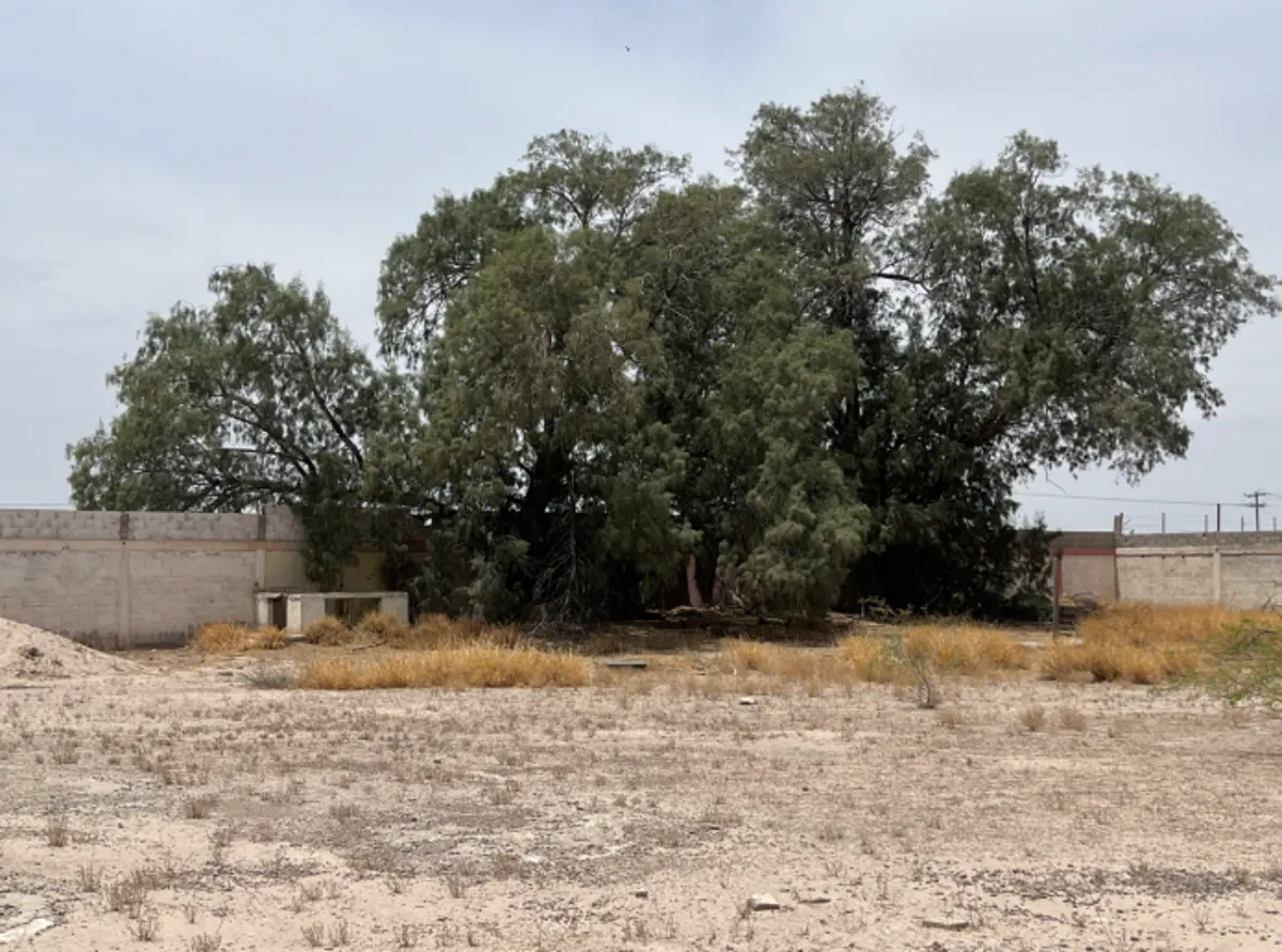 Terreno Spot2