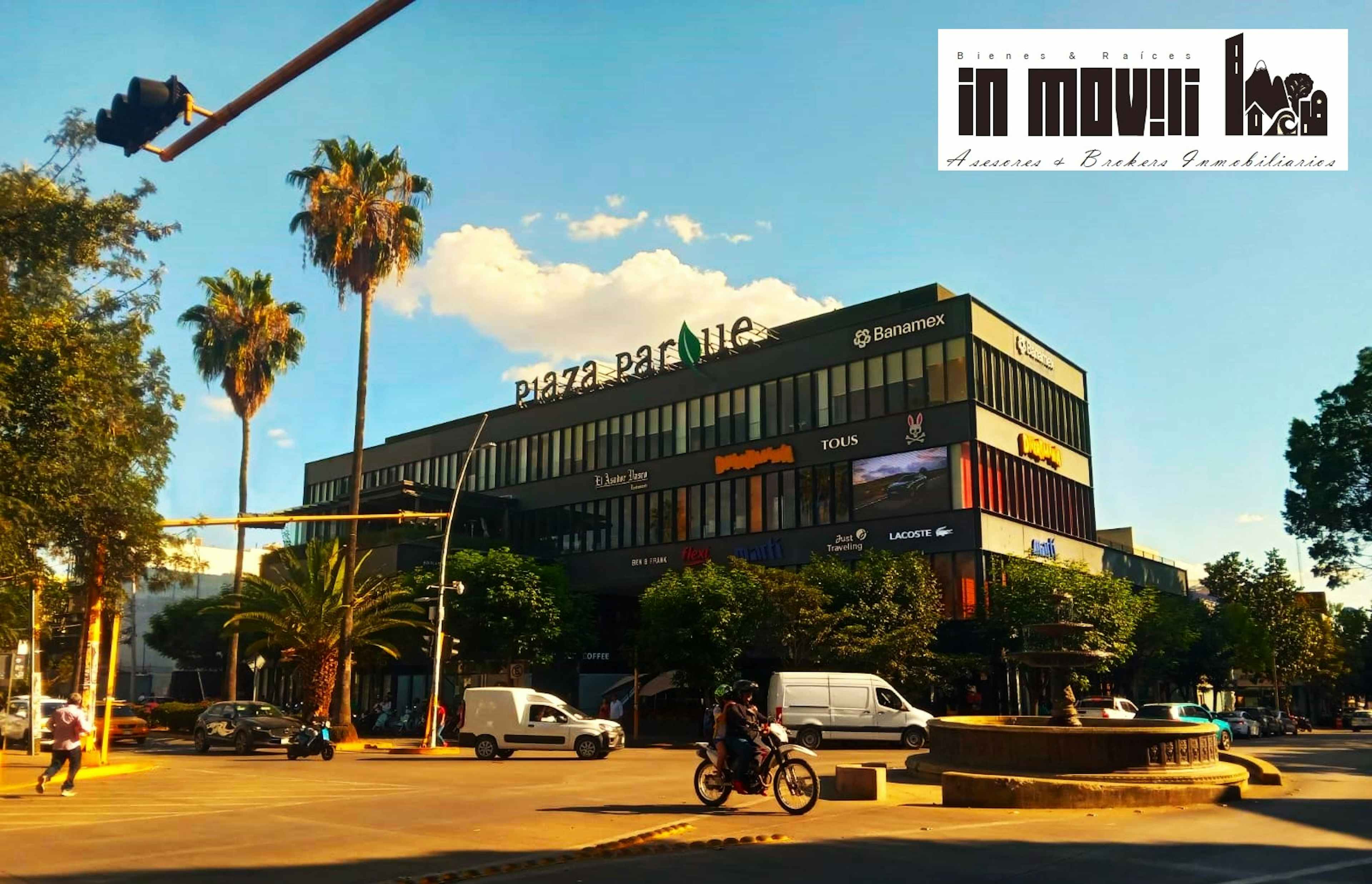 Calzada Porfirio Diaz 55 55