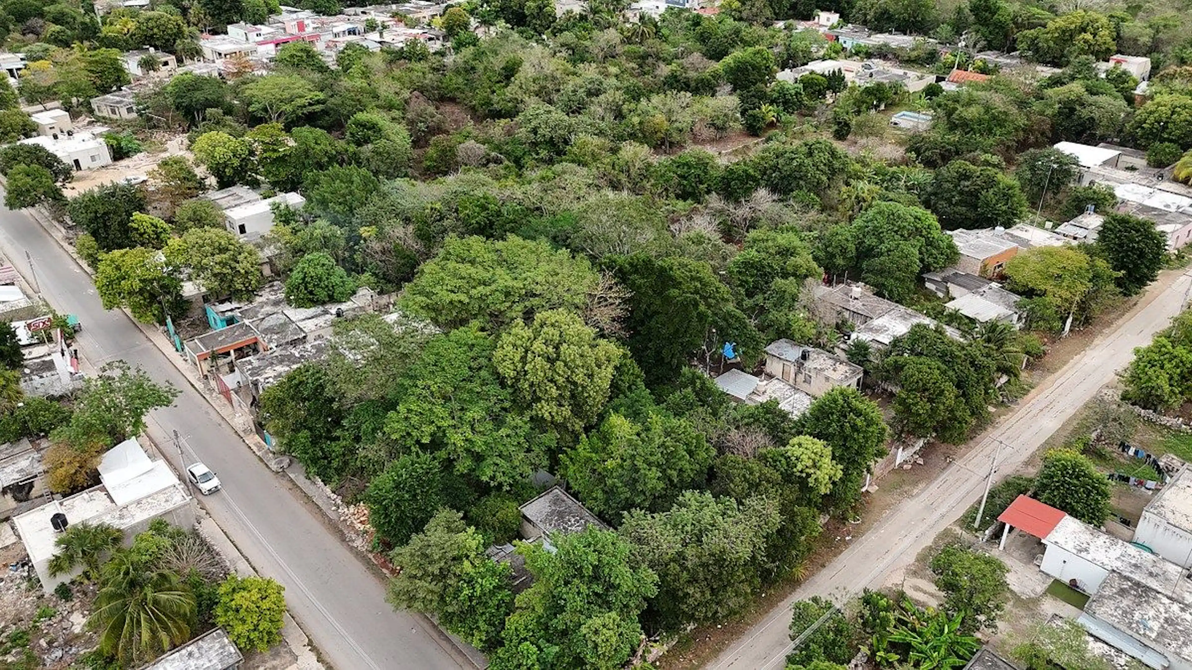 Terreno En Ticopó