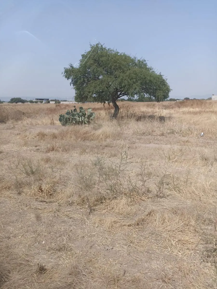 Terreno Spot2