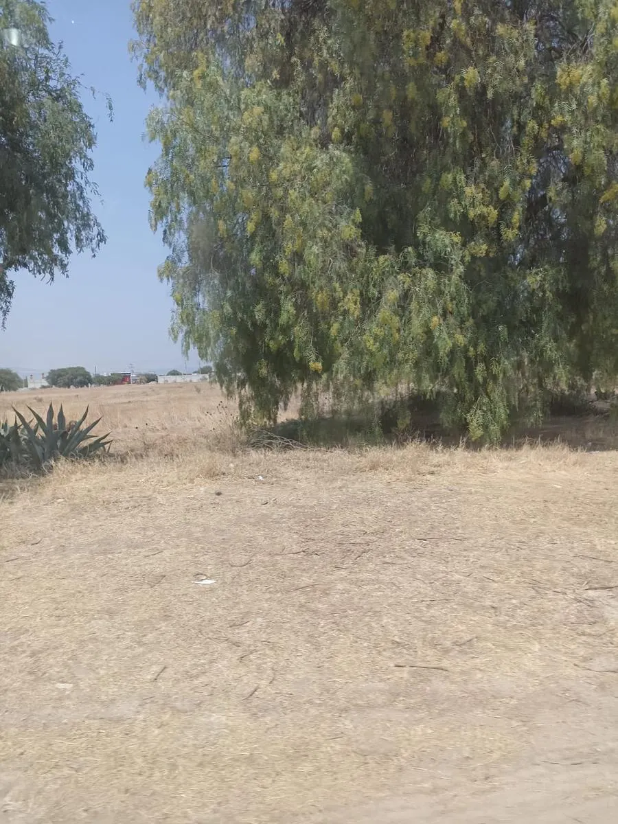 Terreno Spot2