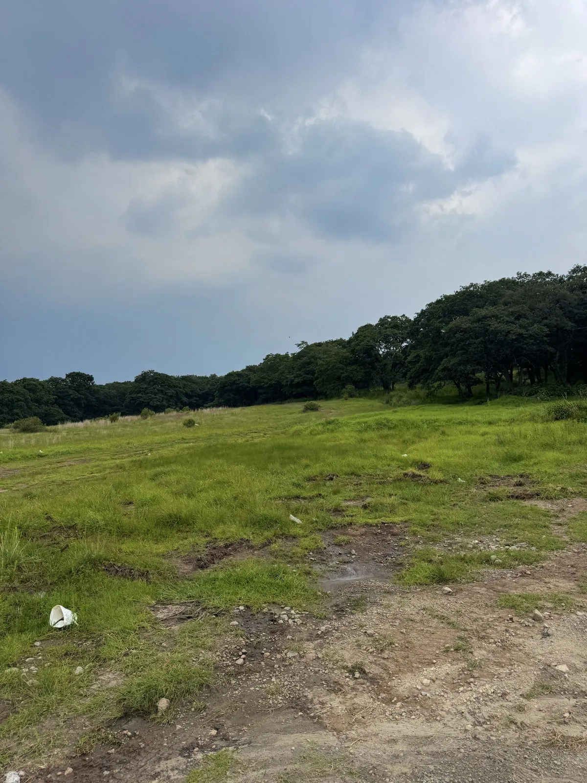 Terreno Spot2