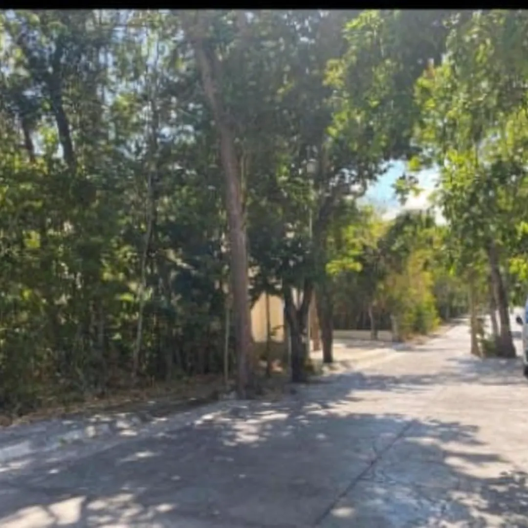 Terreno Spot2