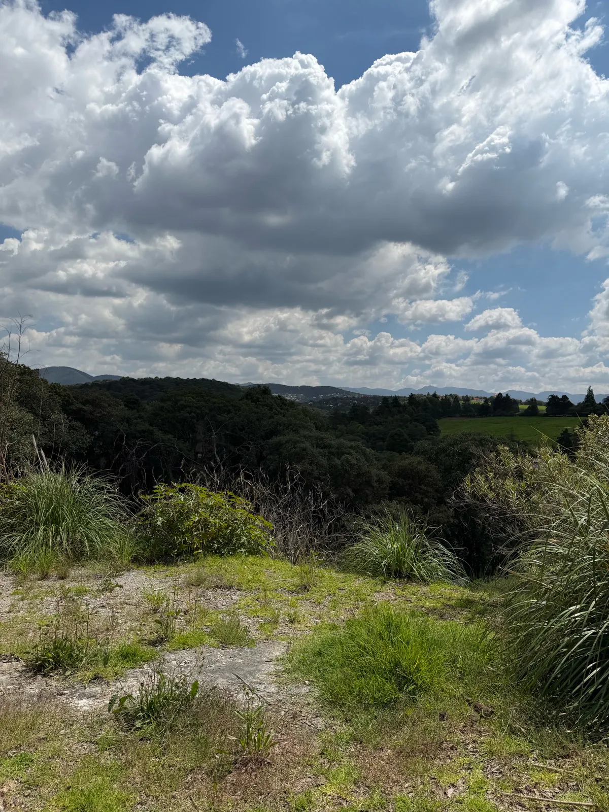 Terreno Spot2