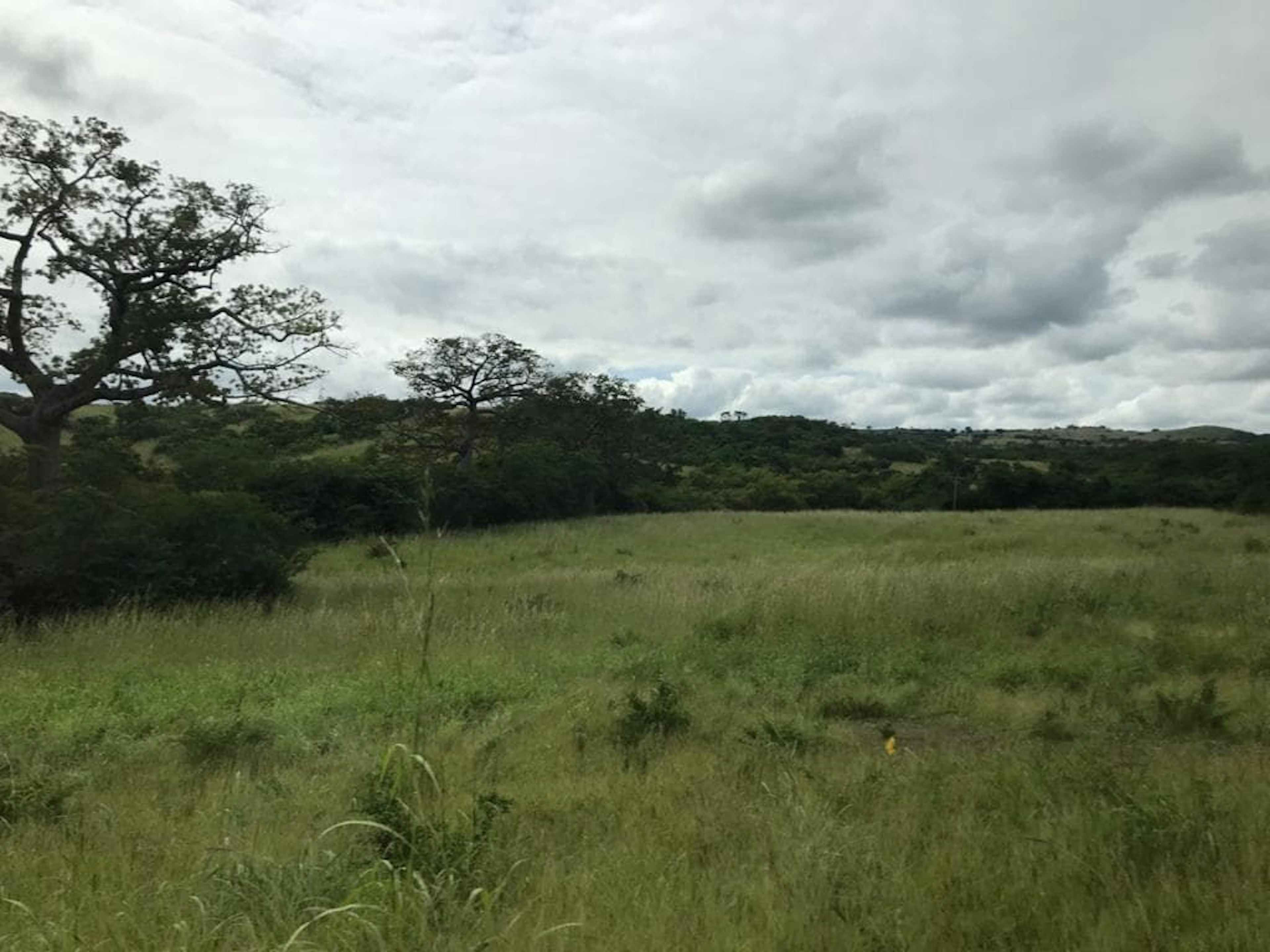 Carretera Internacional 90