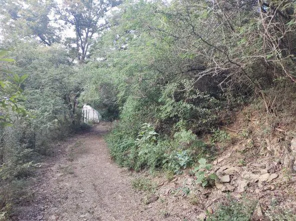 Terreno Spot2
