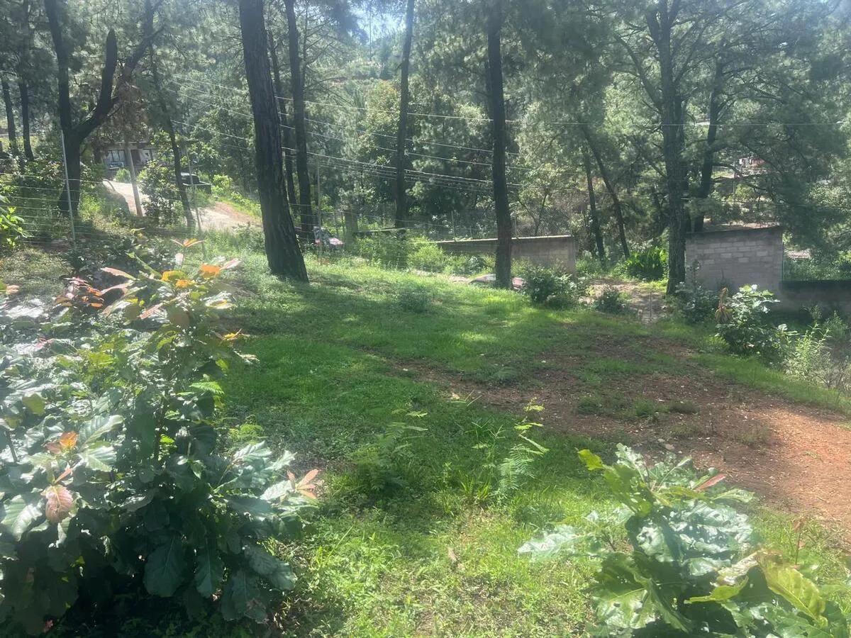 Terreno Spot2