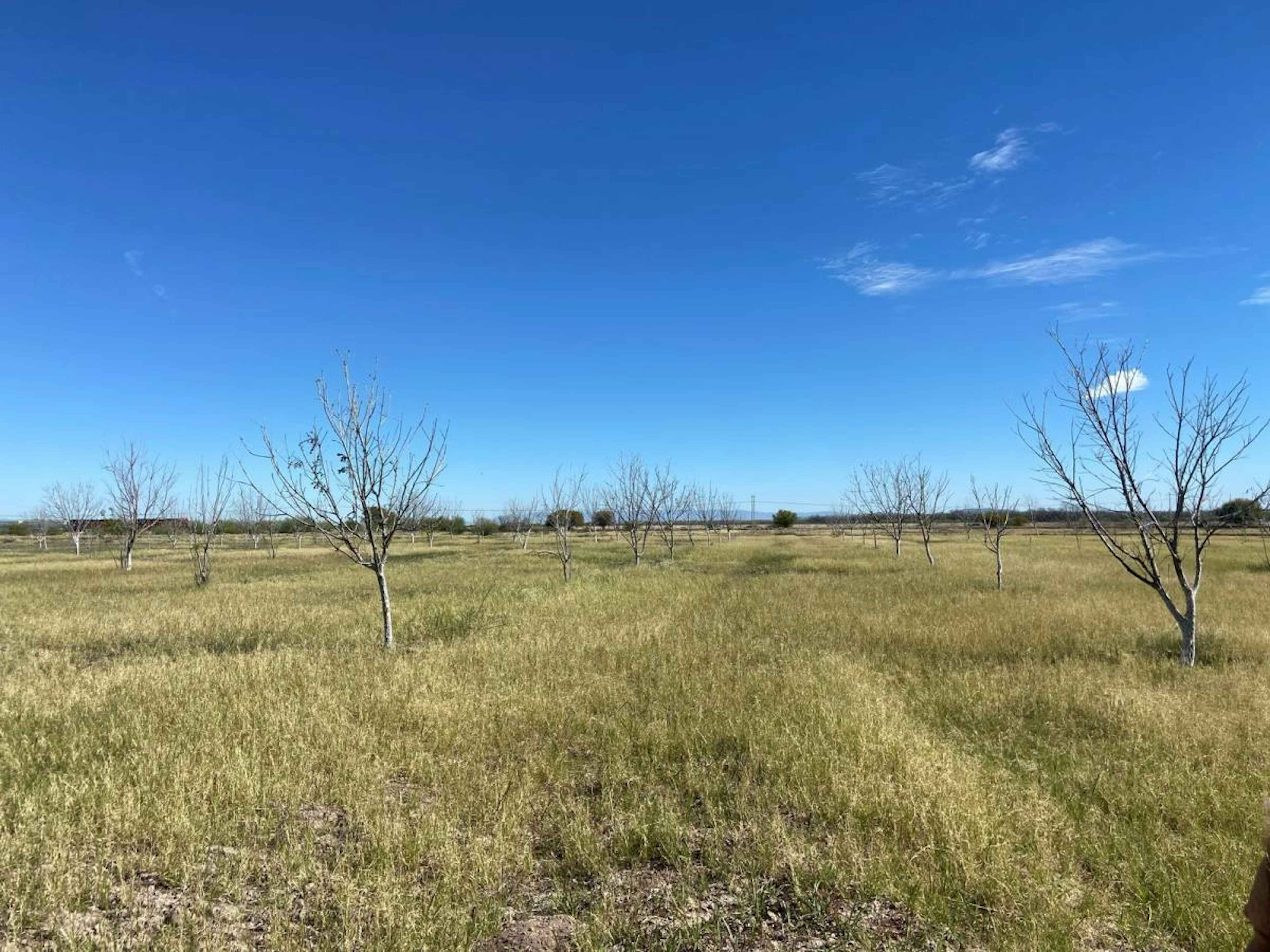 Terreno En Venta En Concordia (la Rosita), San Pedro, Coahuila De Zaragoza