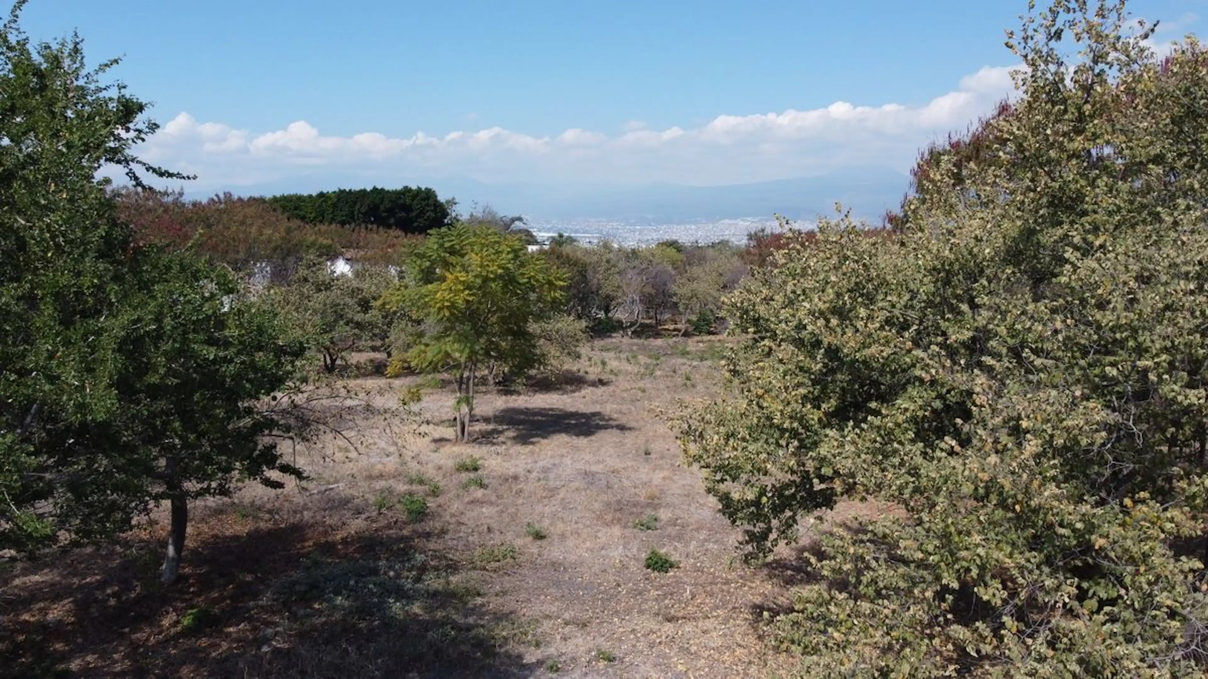 Venta De Terreno En El Fraccionamiento Tamoanchan Morelos