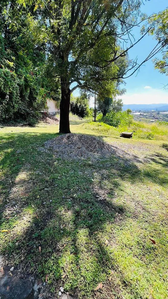 Terreno Spot2