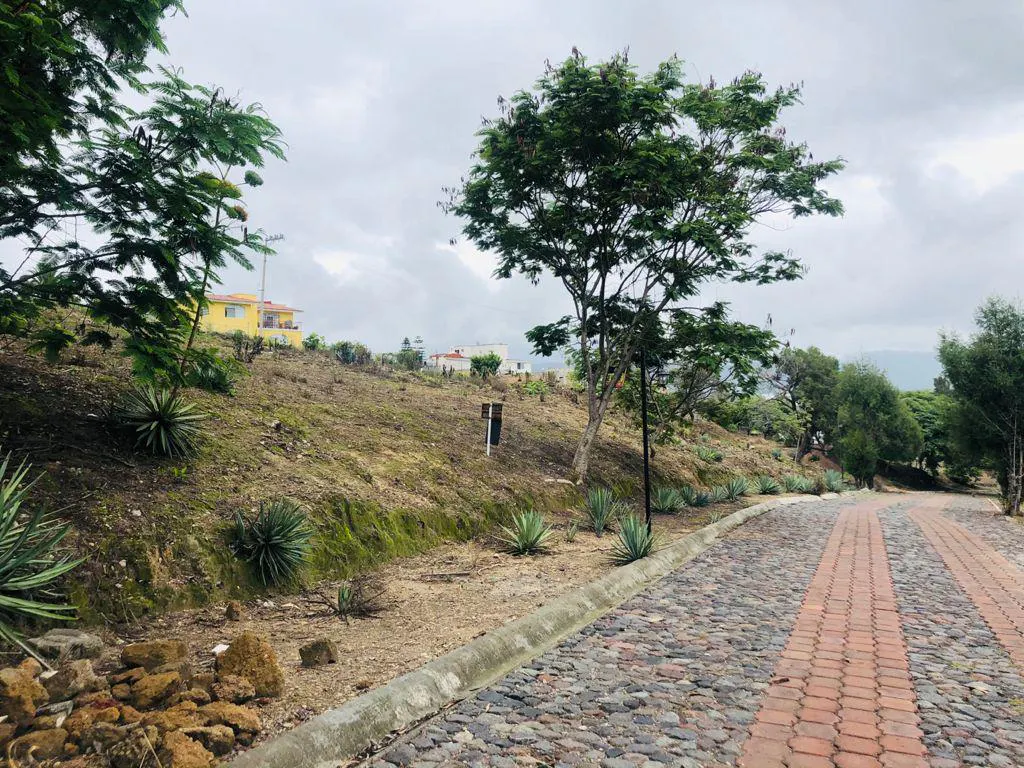 Terreno Spot2