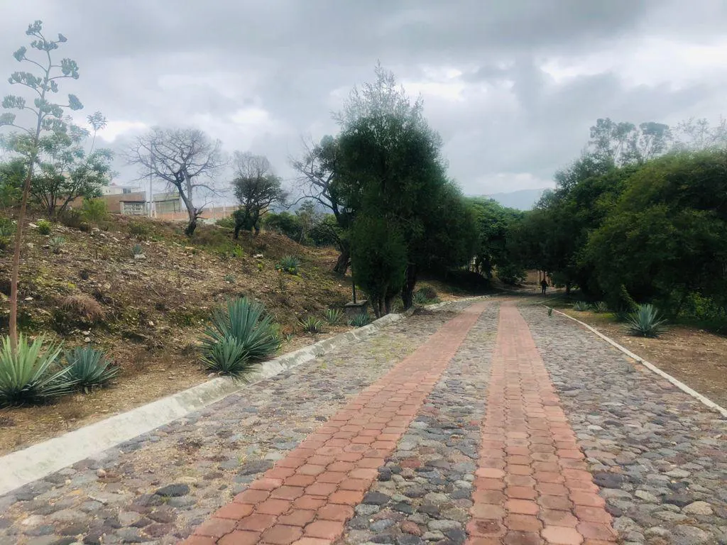 Terreno Spot2