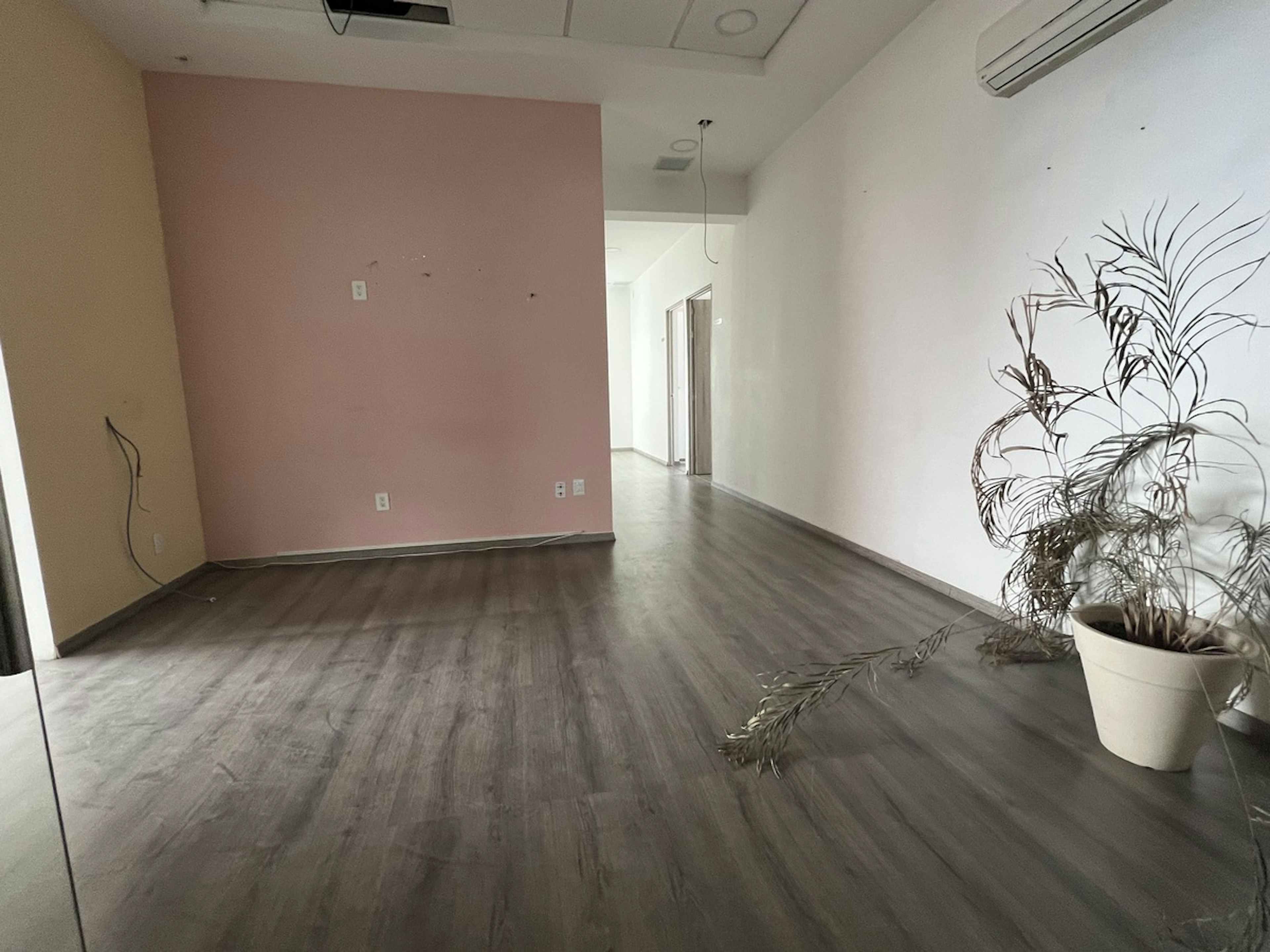 Avenida Presidente Masaryk