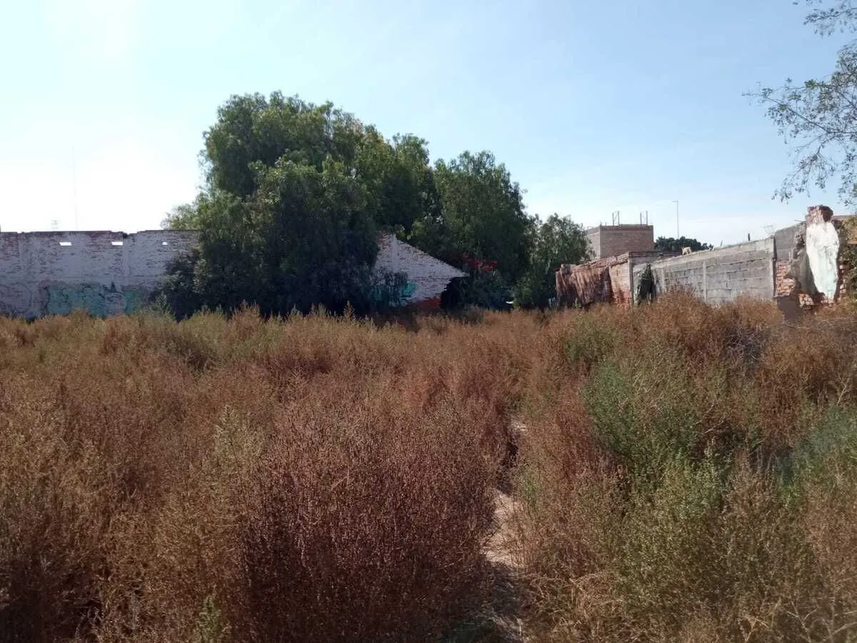 Terreno Spot2