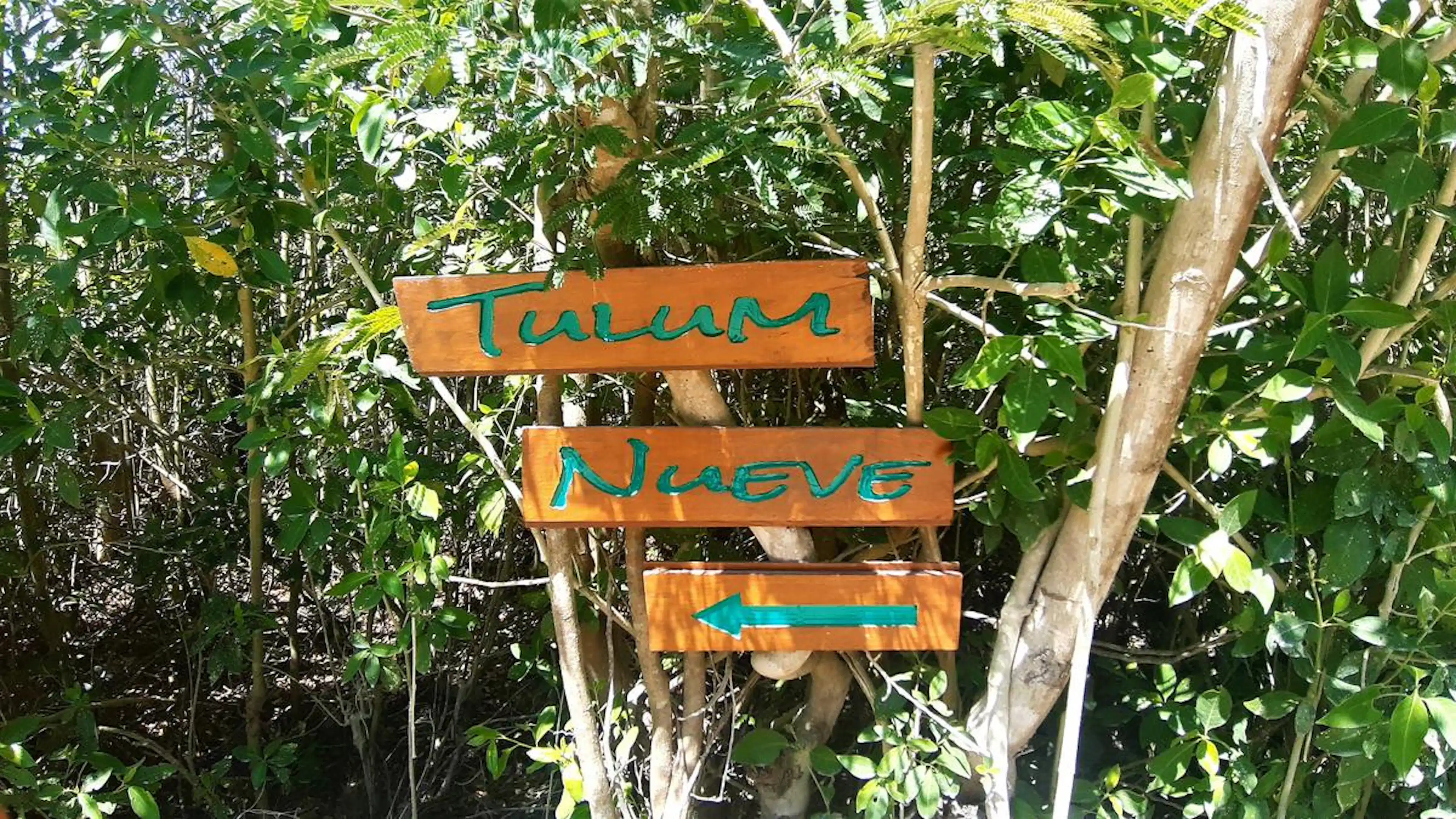 Terreno En Venta Sobre La Carretera Tulum-playa P3529