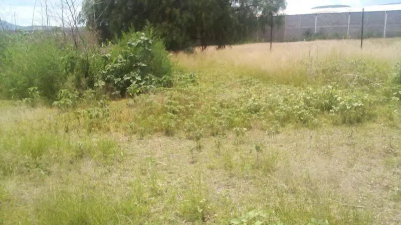 Terreno Spot2