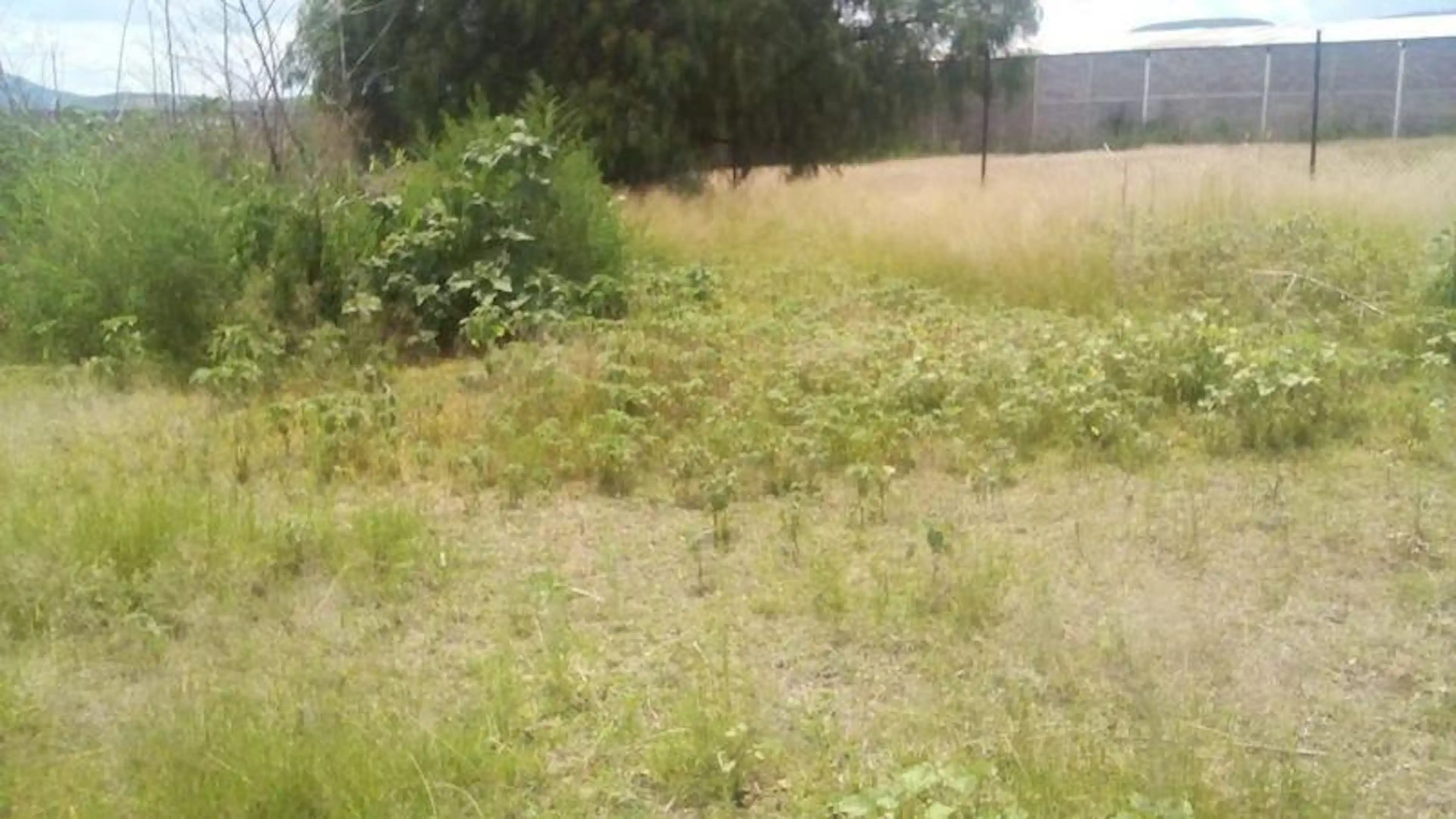 Venta De Terreno En Los Arquitos, Jesús María, Aguascalientes