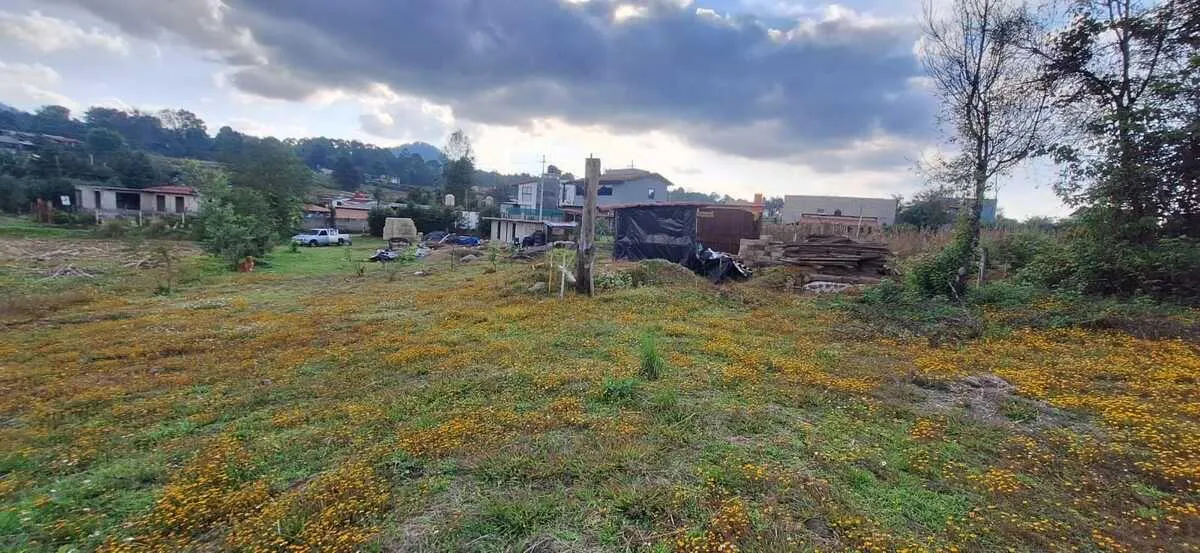 Terreno Spot2