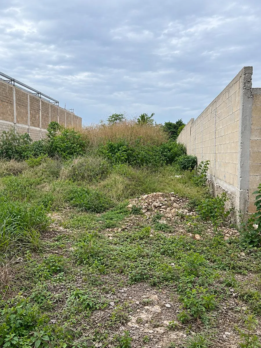 Terreno Spot2