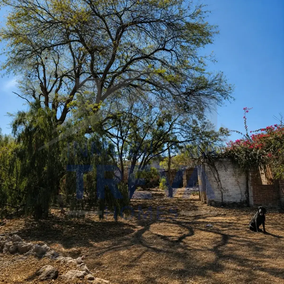 Terreno Spot2