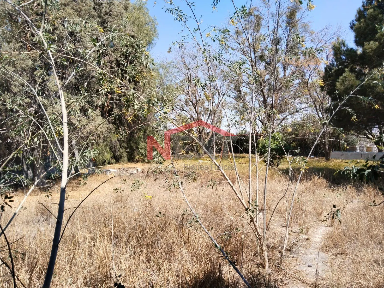 Terreno Spot2