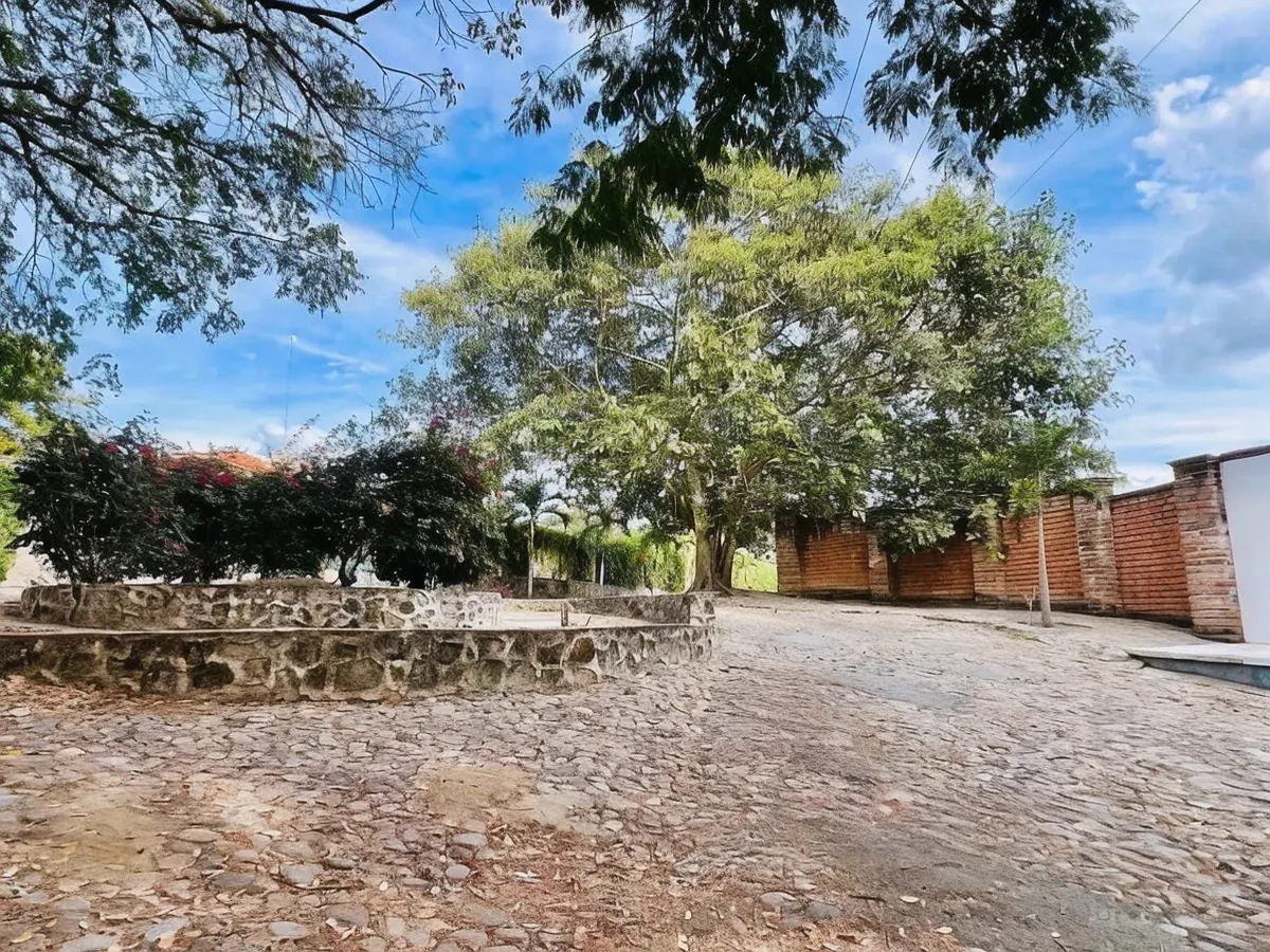 Terreno Spot2