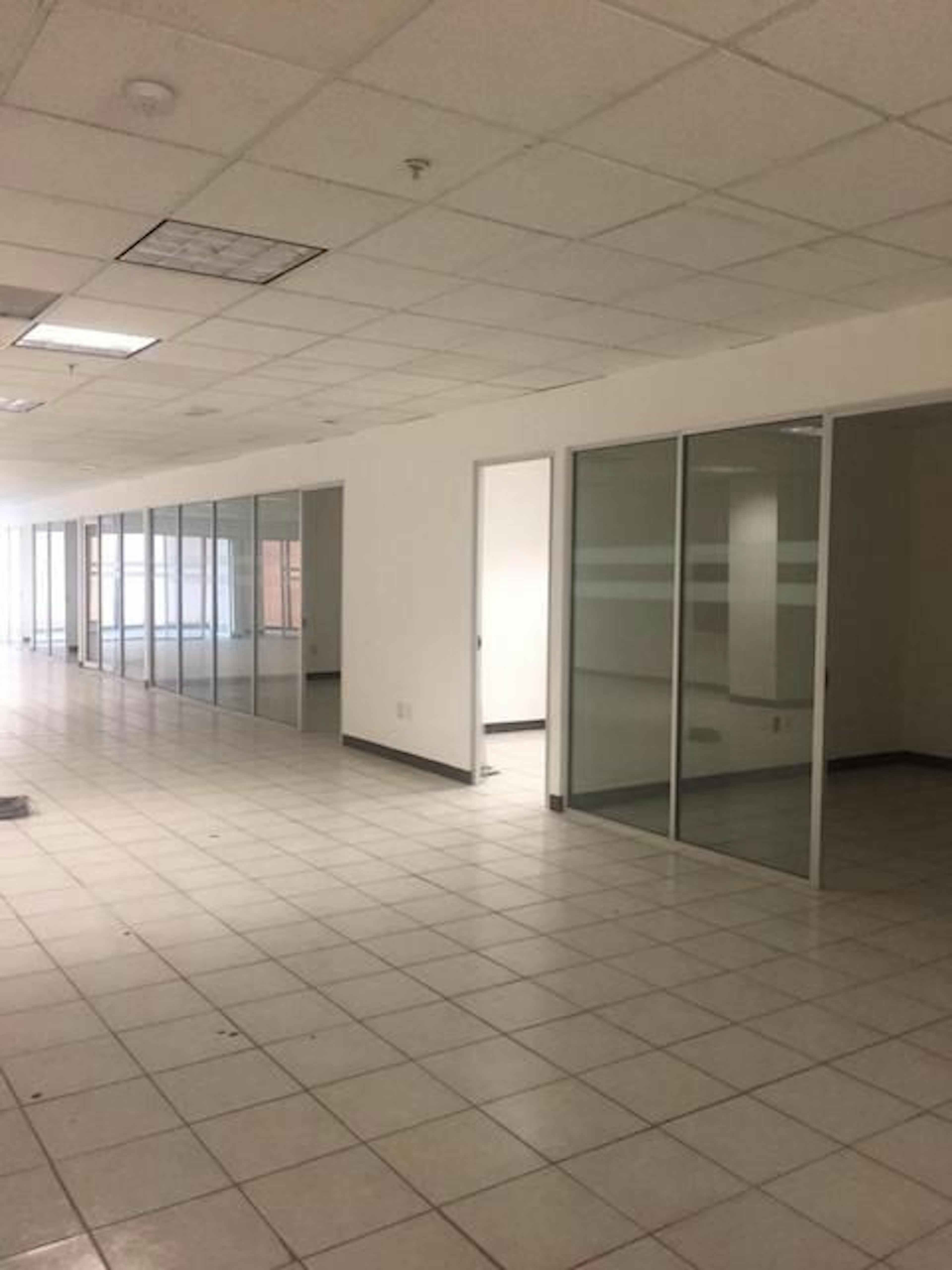 Avenida Paseo De La Reforma