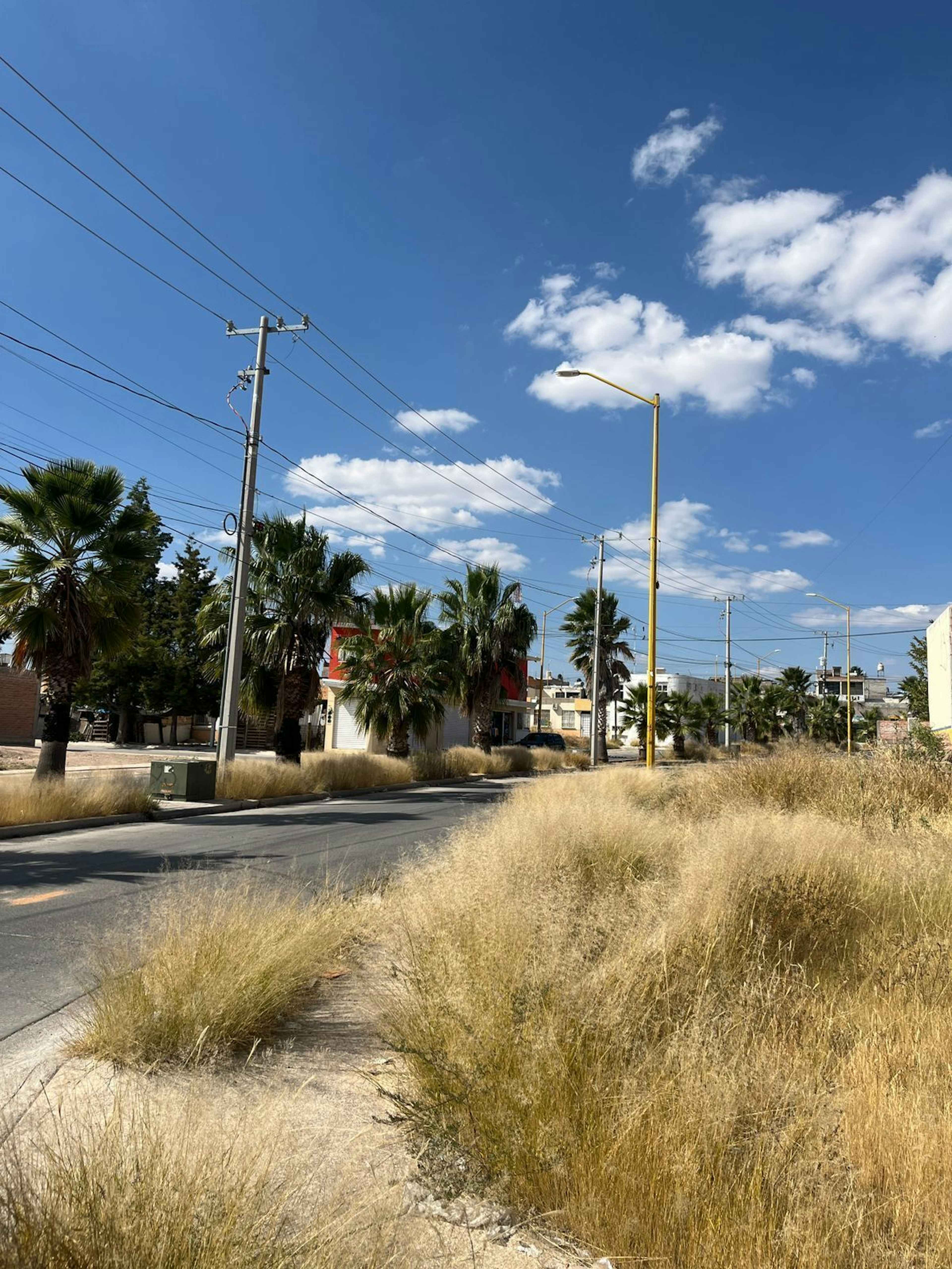 Av. De Ribera De Chapala 103