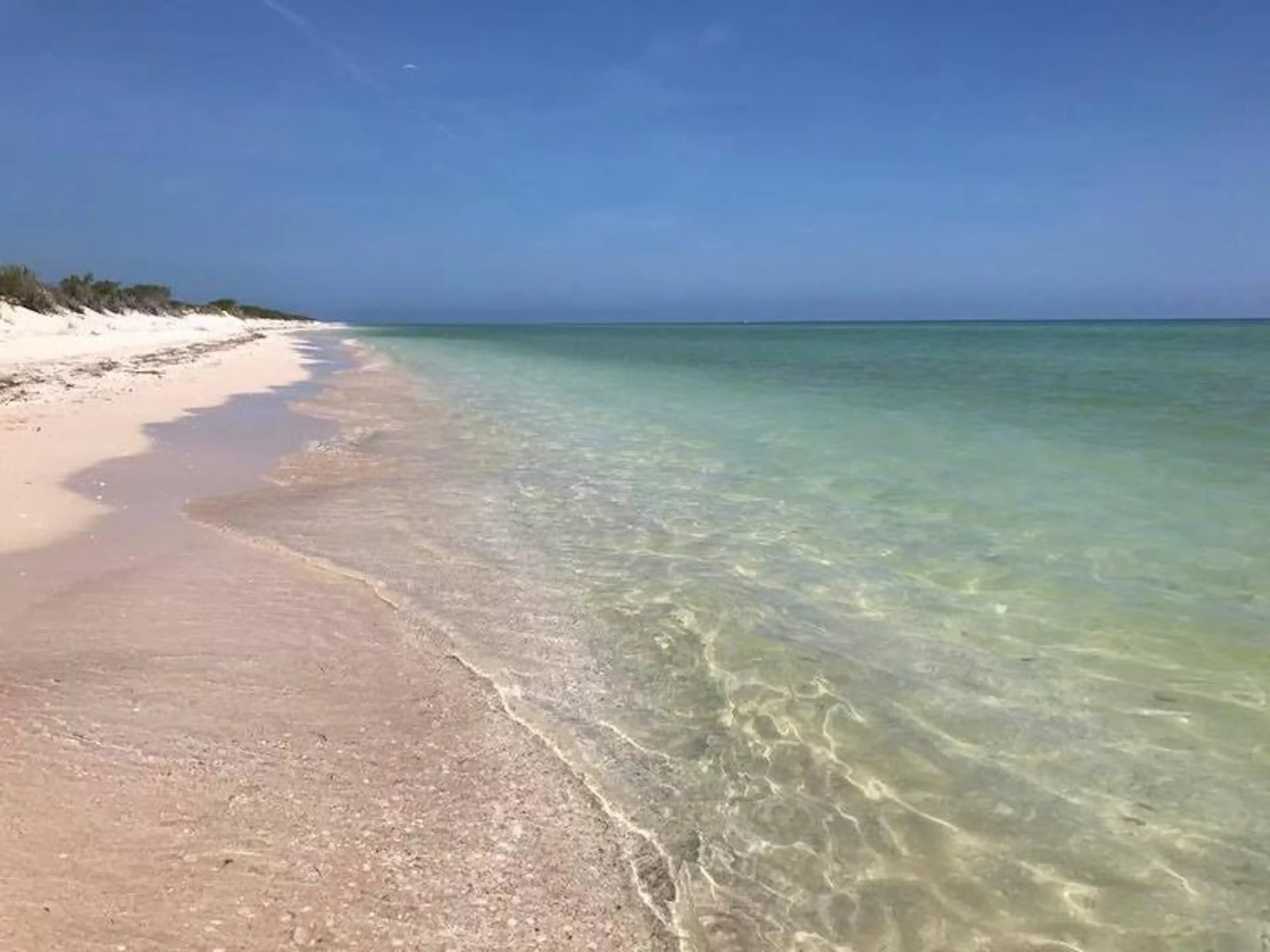 Macrolote Frente Al Mar En Sisal Yucatán. Ideal Para Desarrolladores