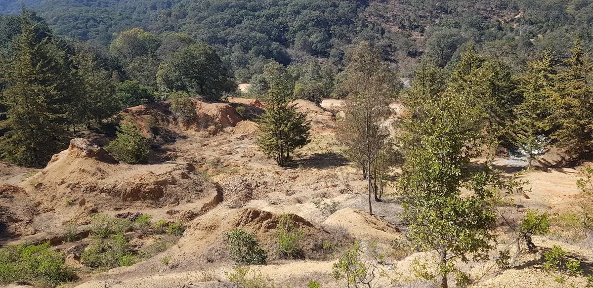 Terreno Spot2
