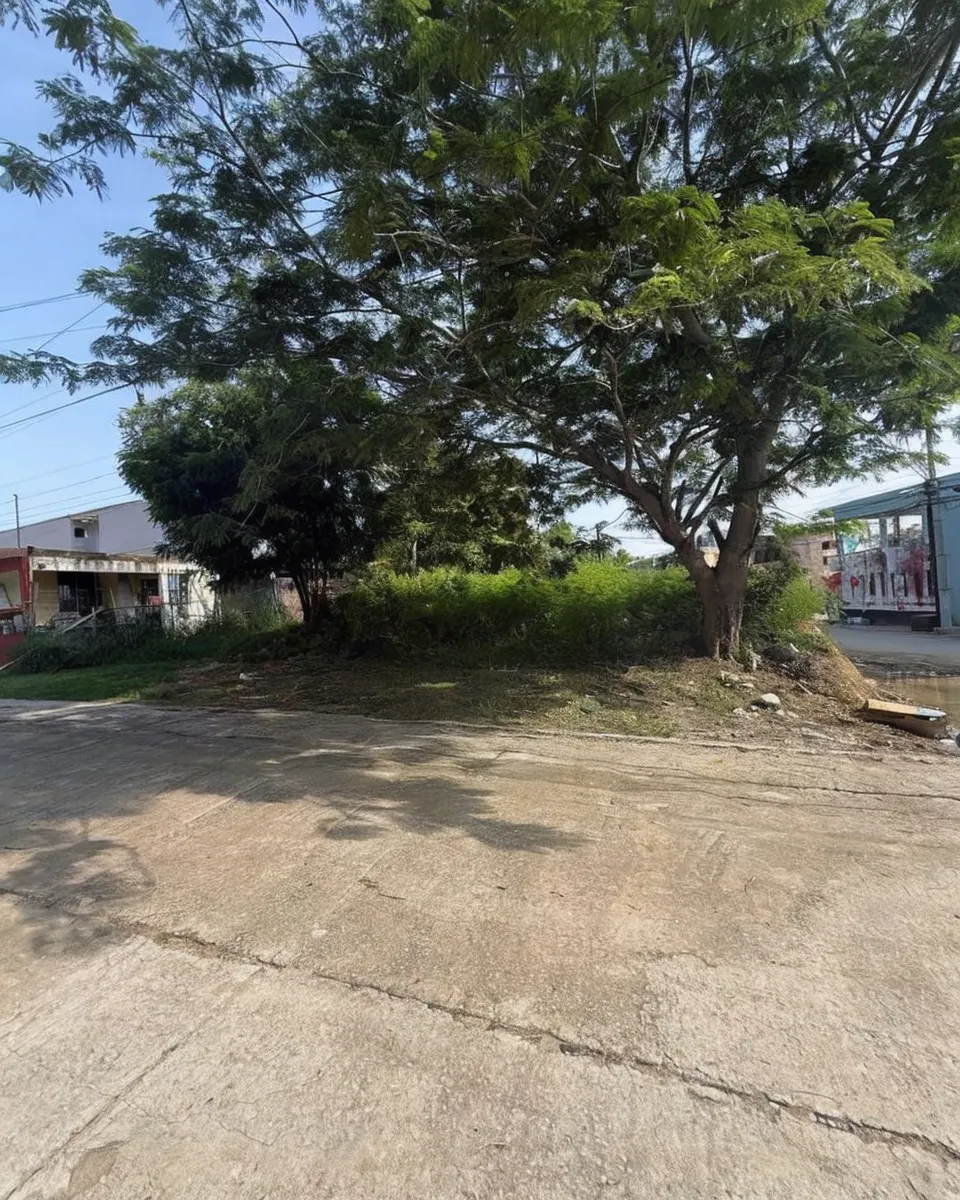 Terreno Spot2