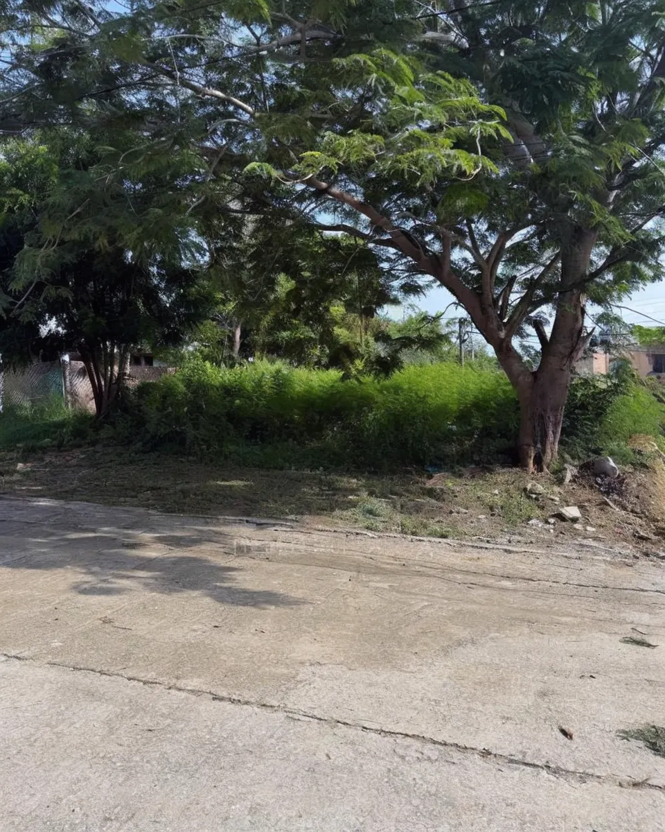 Terreno Spot2