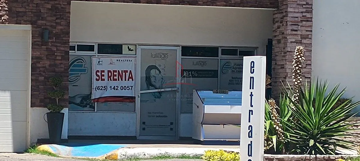 Local Comercial Spot2