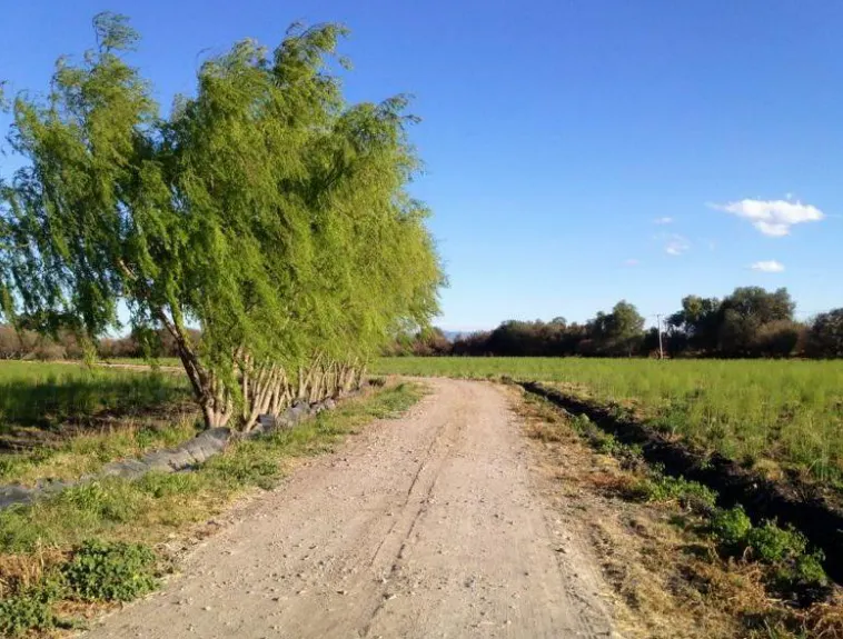 Terreno Spot2