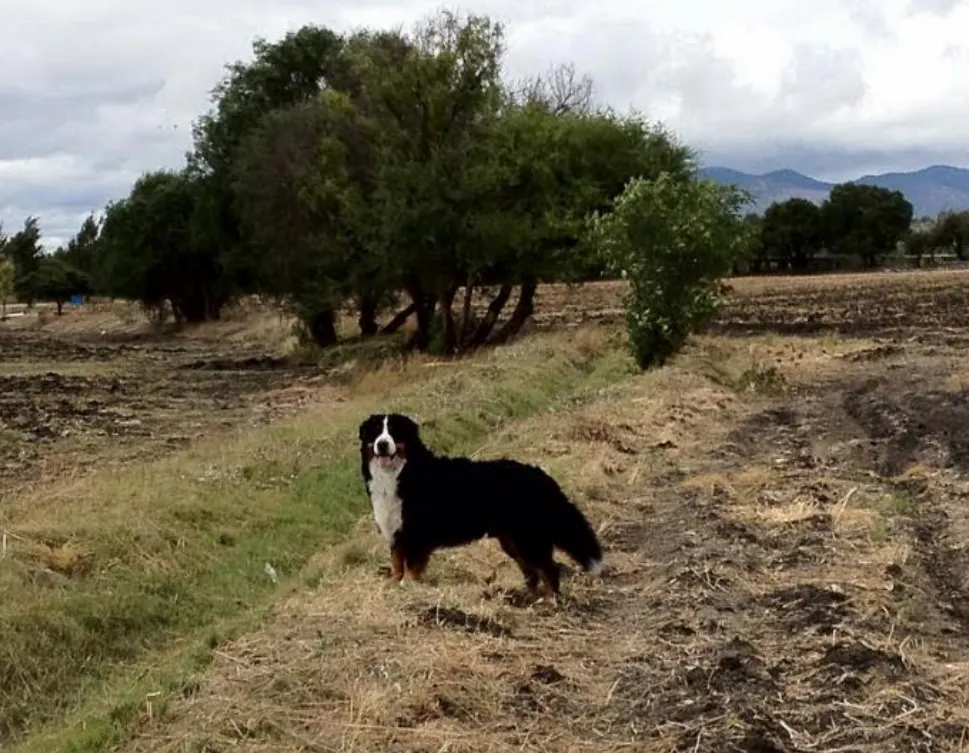 Terreno Spot2