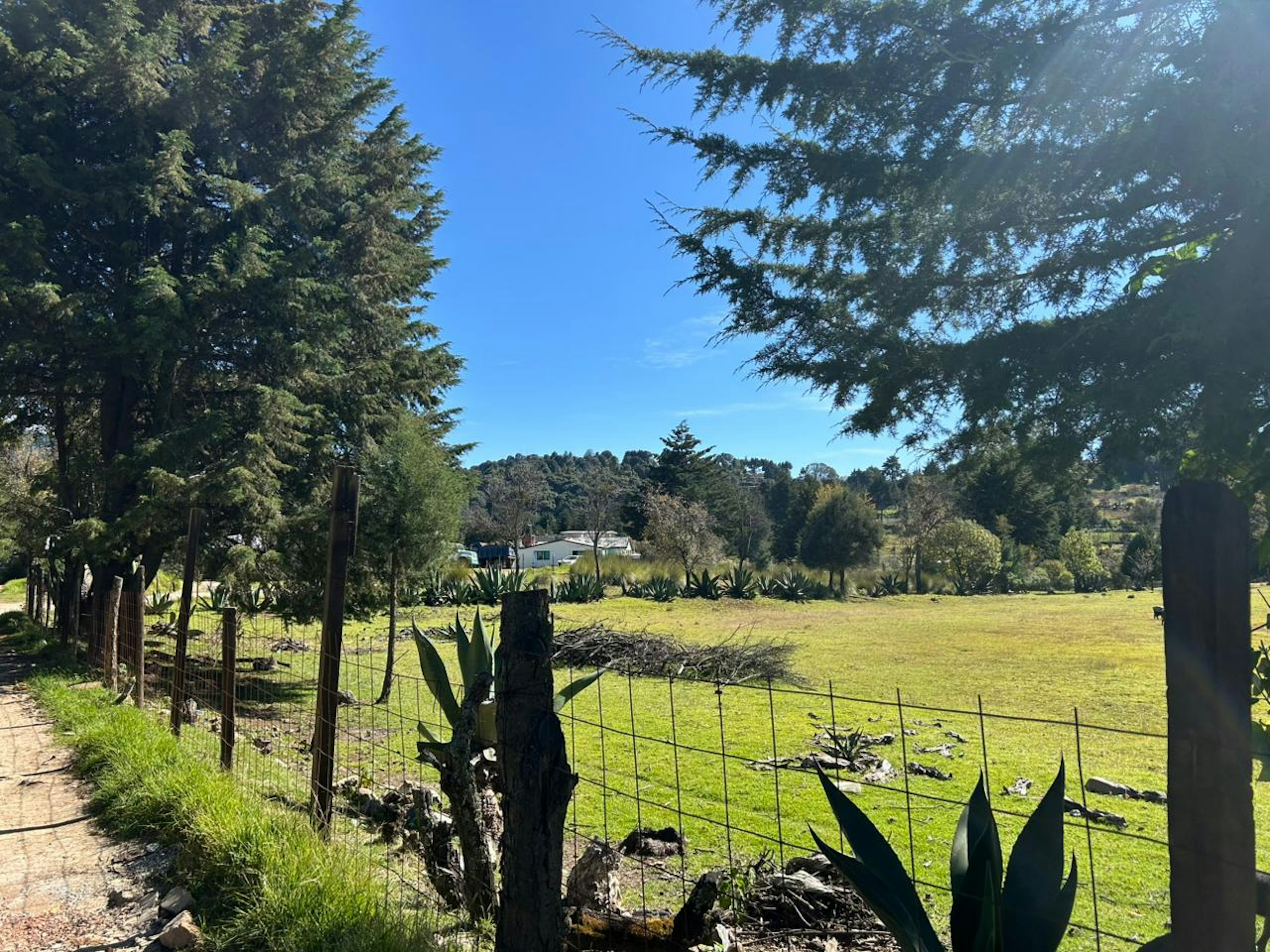 La imagen muestra una propiedad rural con un amplio terreno verde rodeado de árboles y vegetación. Se aprecia una cerca de alambre que delimita el área, con cactus y agaves en primer plano. Al fondo se ve una casa blanca, posiblemente una granja o residencia campestre. El cielo es azul y despejado, creando una atmósfera tranquila y natural. El entorno sugiere una ubicación ideal para quienes buscan una vida en contacto con la naturaleza.