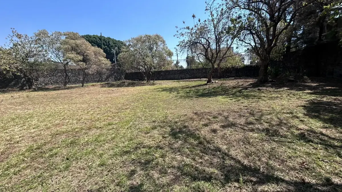 Terreno Spot2
