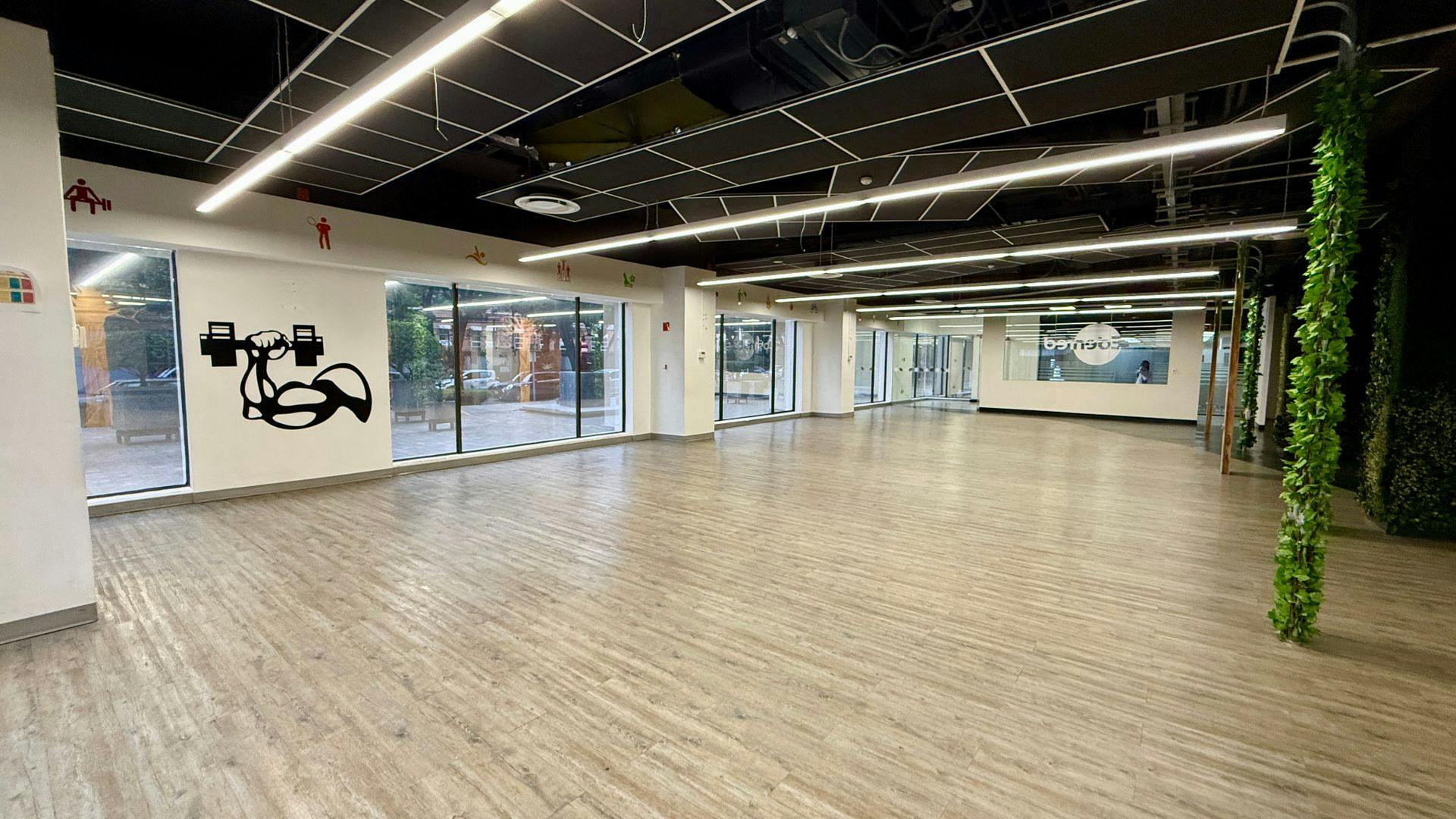 Local Comercial Spot2