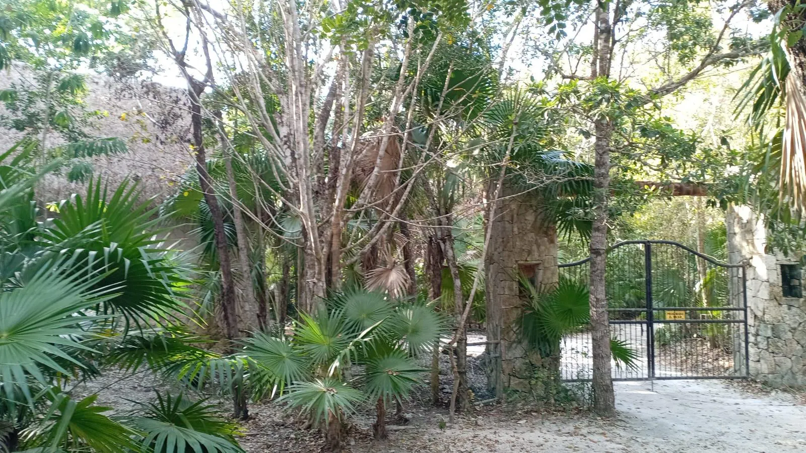 Terreno Spot2