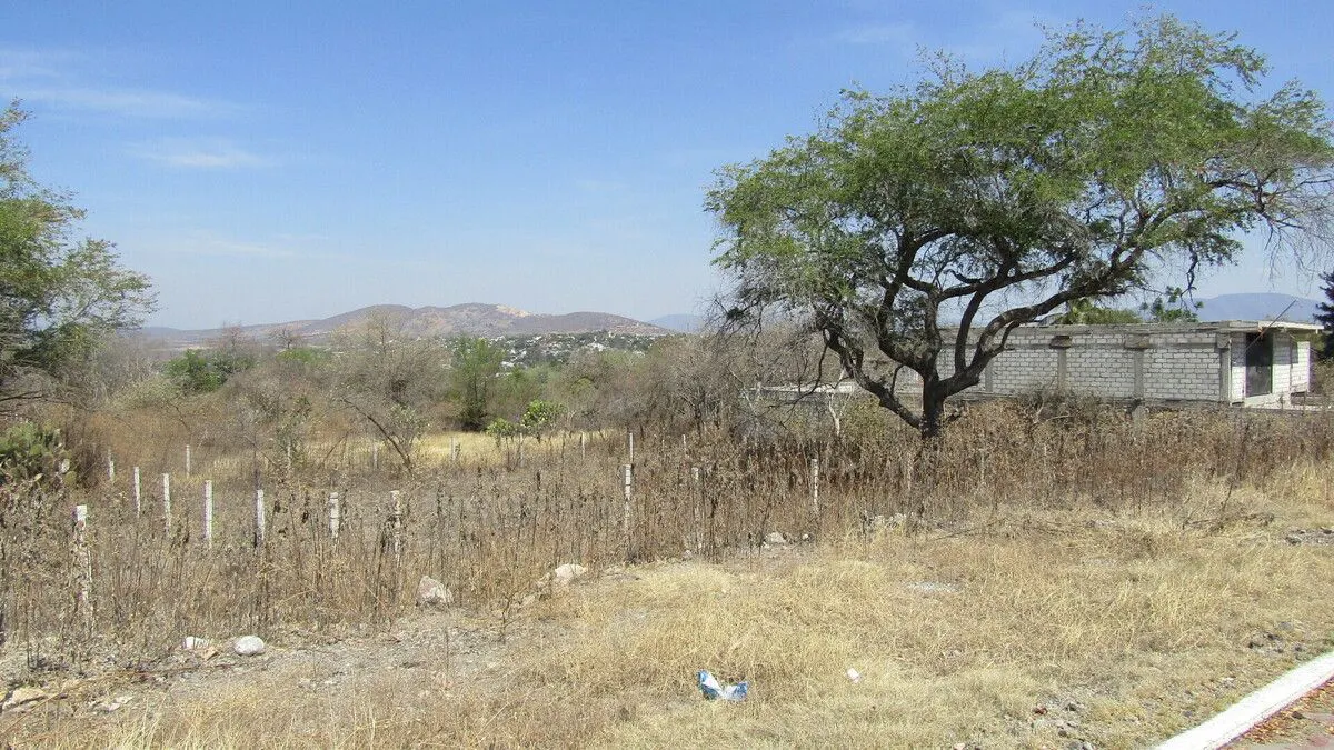Terreno Spot2