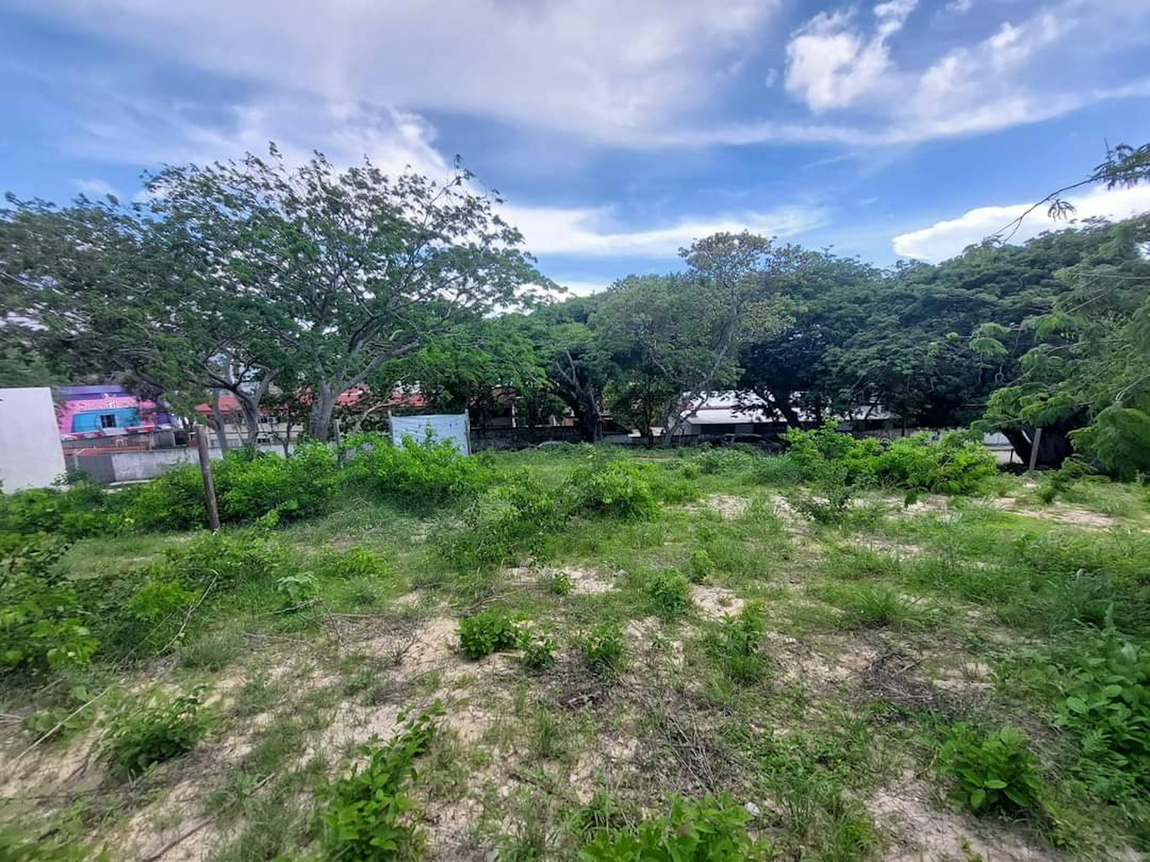 La imagen muestra un terreno baldío con vegetación silvestre en primer plano. Al fondo se observan árboles frondosos y algunas edificaciones con techos rojos, sugiriendo una zona residencial o semiurbana. El cielo es azul con algunas nubes. El terreno parece tener potencial para desarrollo inmobiliario, ya sea para construcción residencial o comercial, dada su ubicación cerca de otras estructuras y su vegetación manejable.