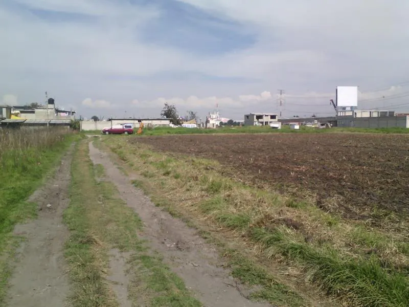 Terreno Spot2