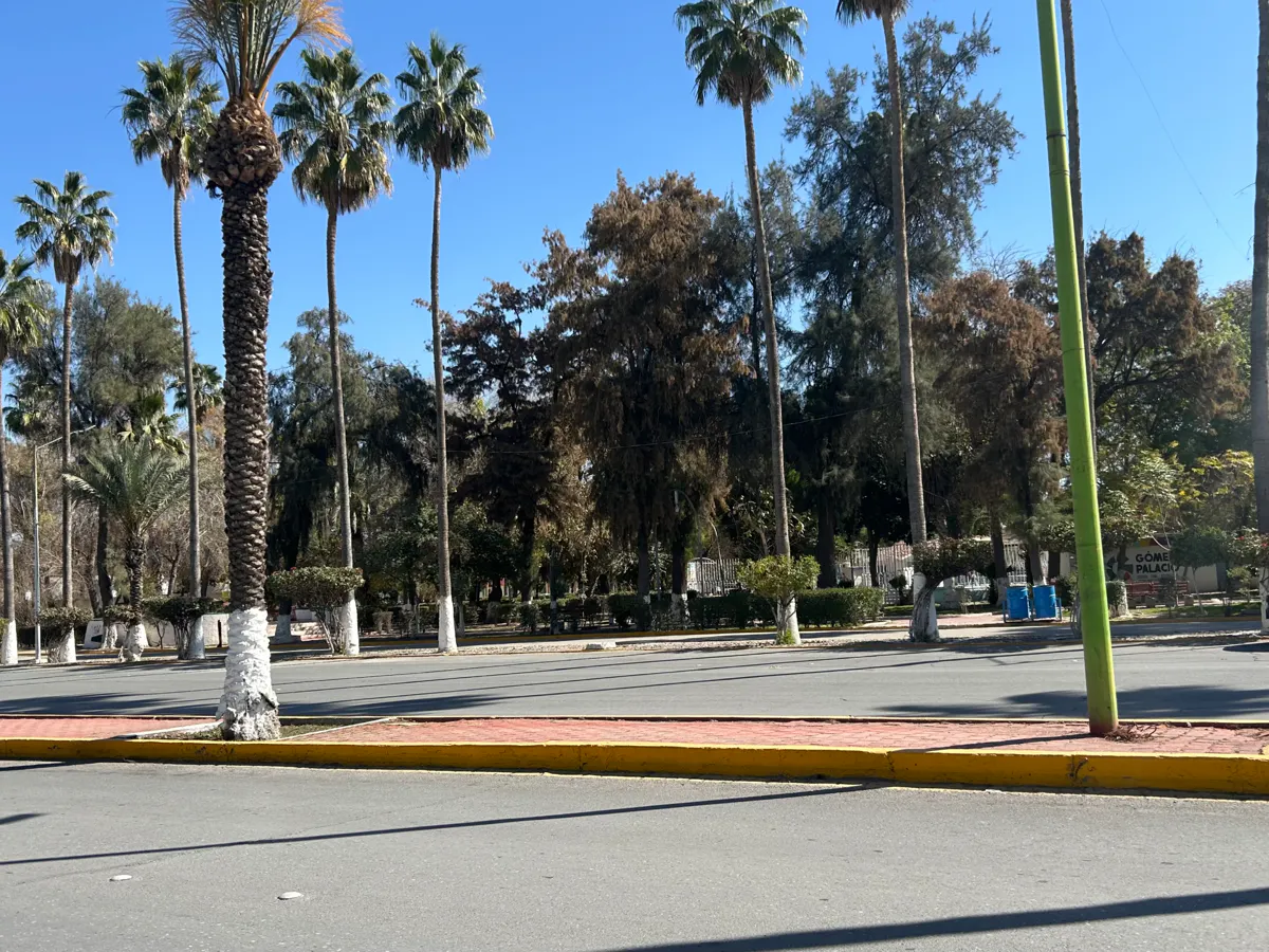 Terreno Spot2