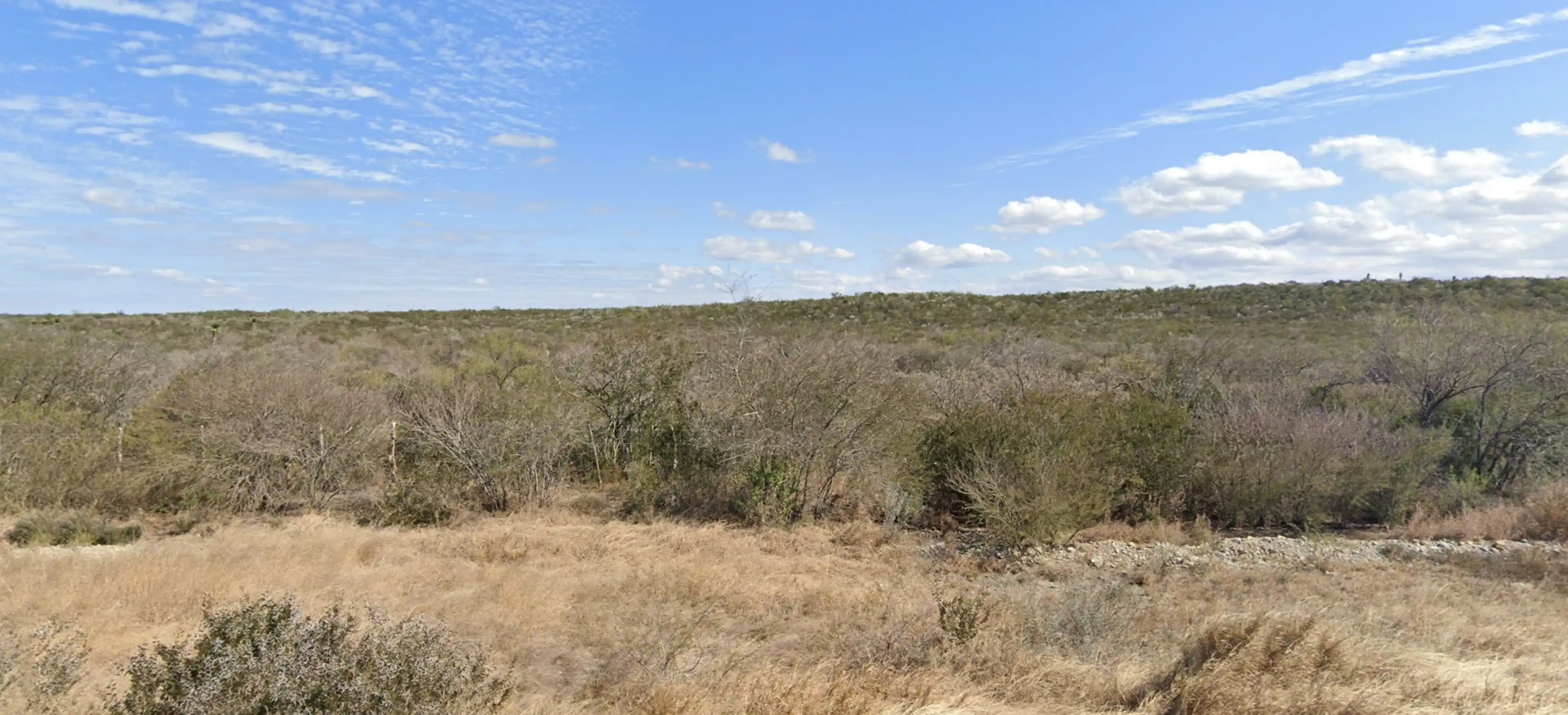 Lote 11