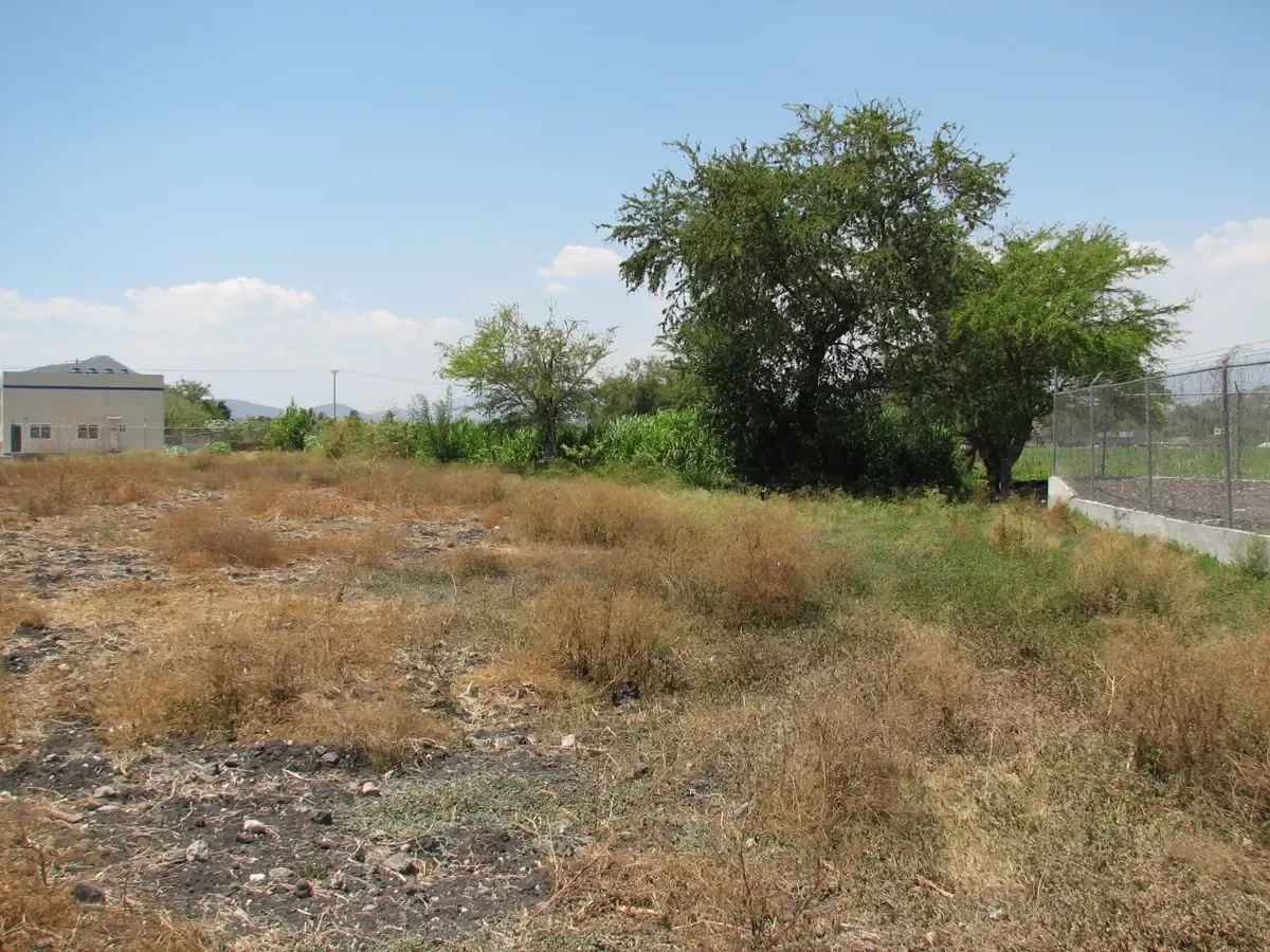 Terreno Spot2