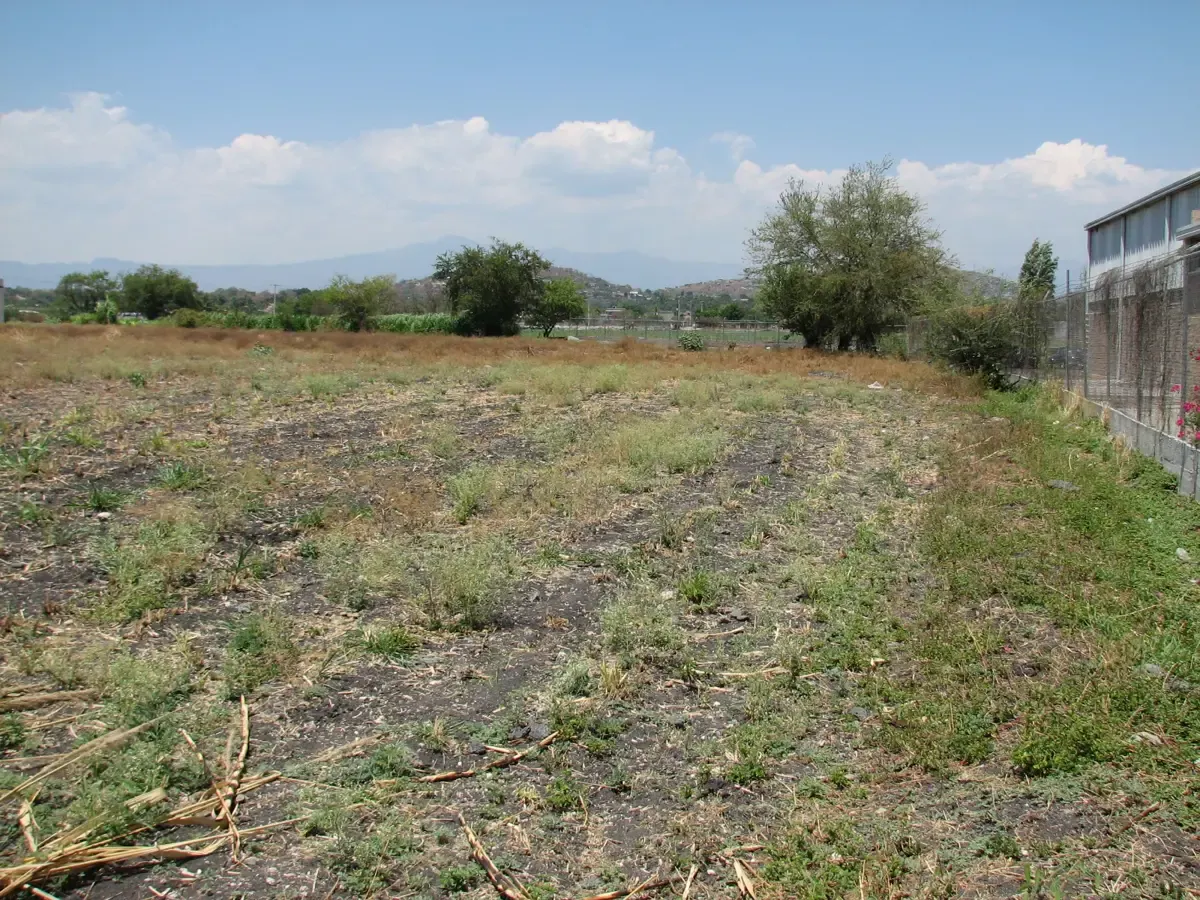 Terreno Spot2