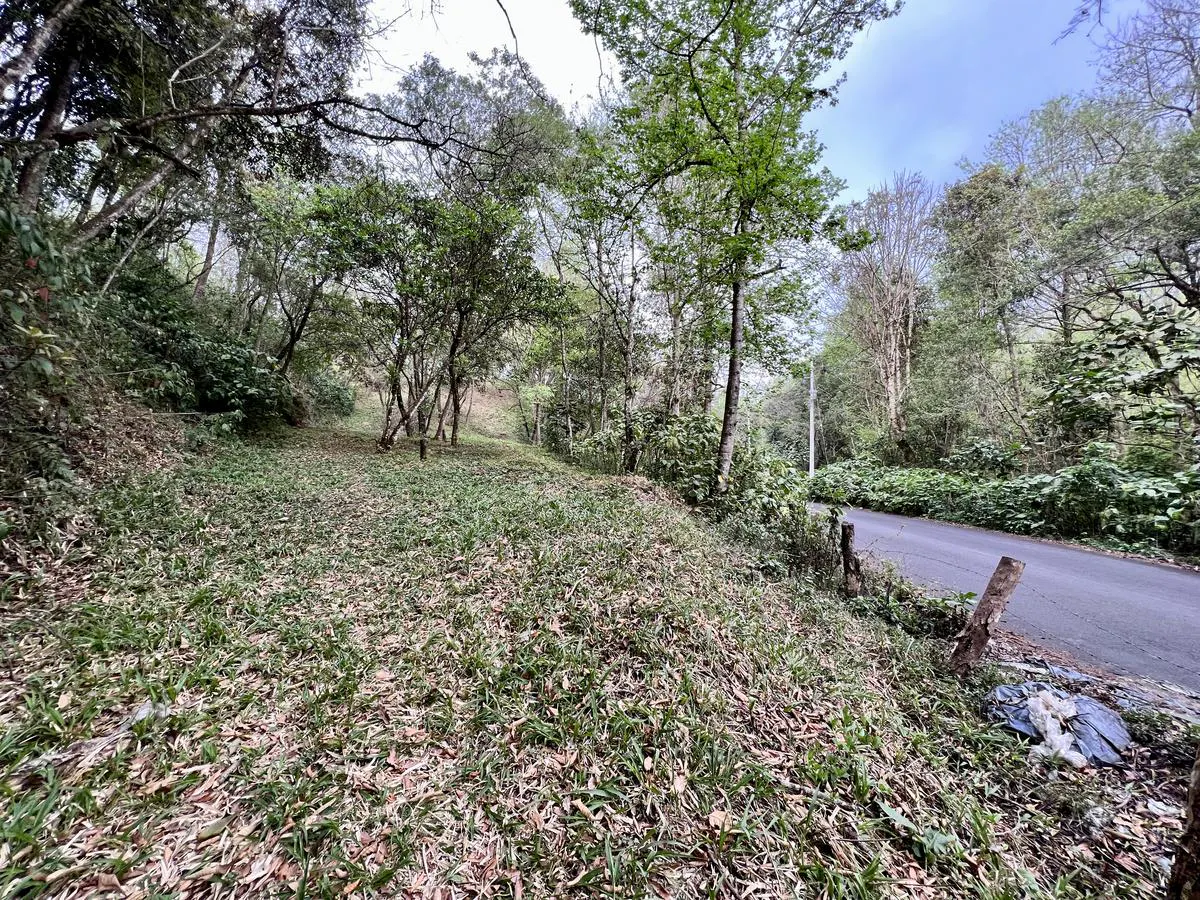 Terreno Spot2